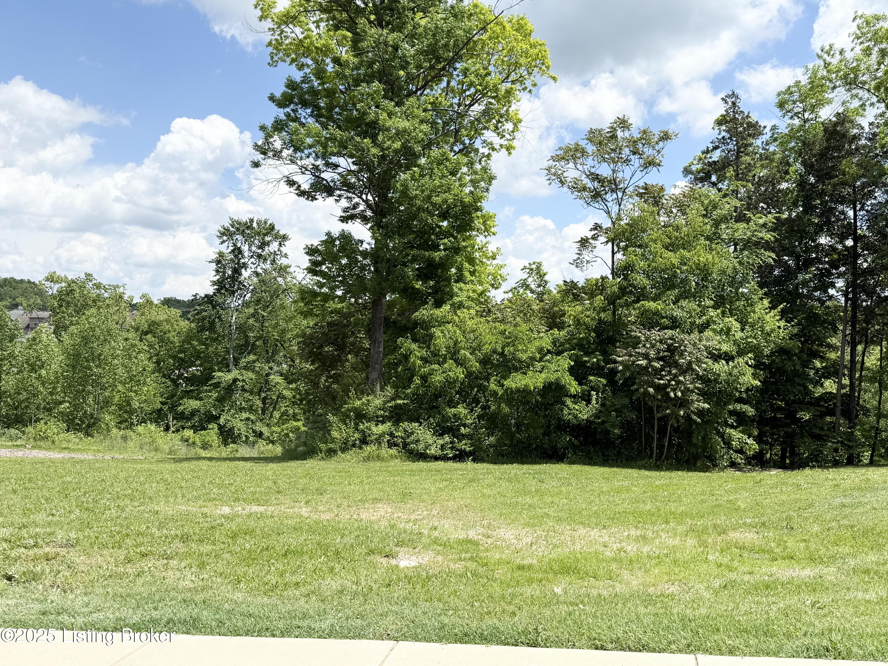 0 - Lot 60 Bluffs Edge Dr Property Photo 11