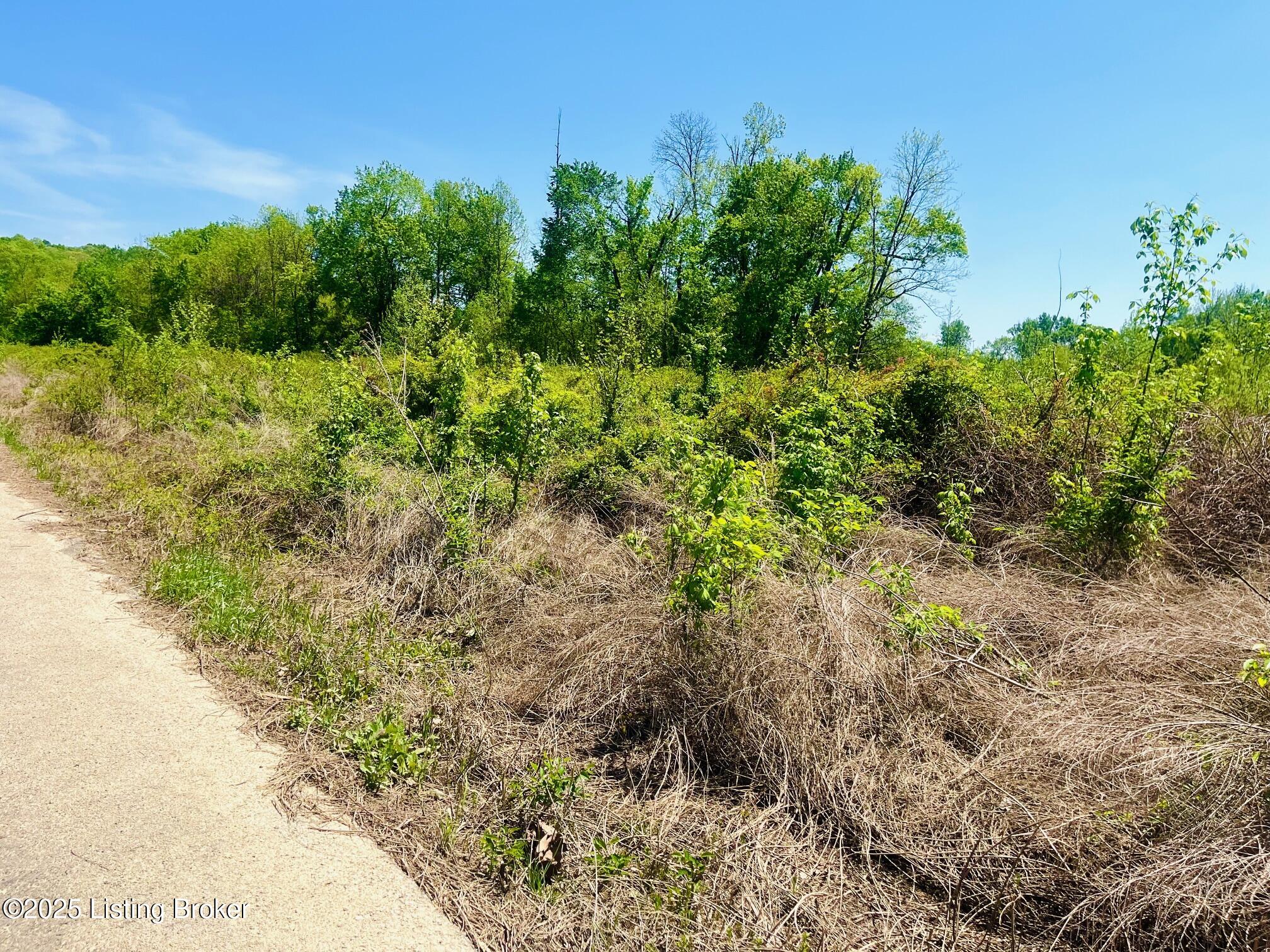0 Sandy Court East - Lot 153 Property Photo