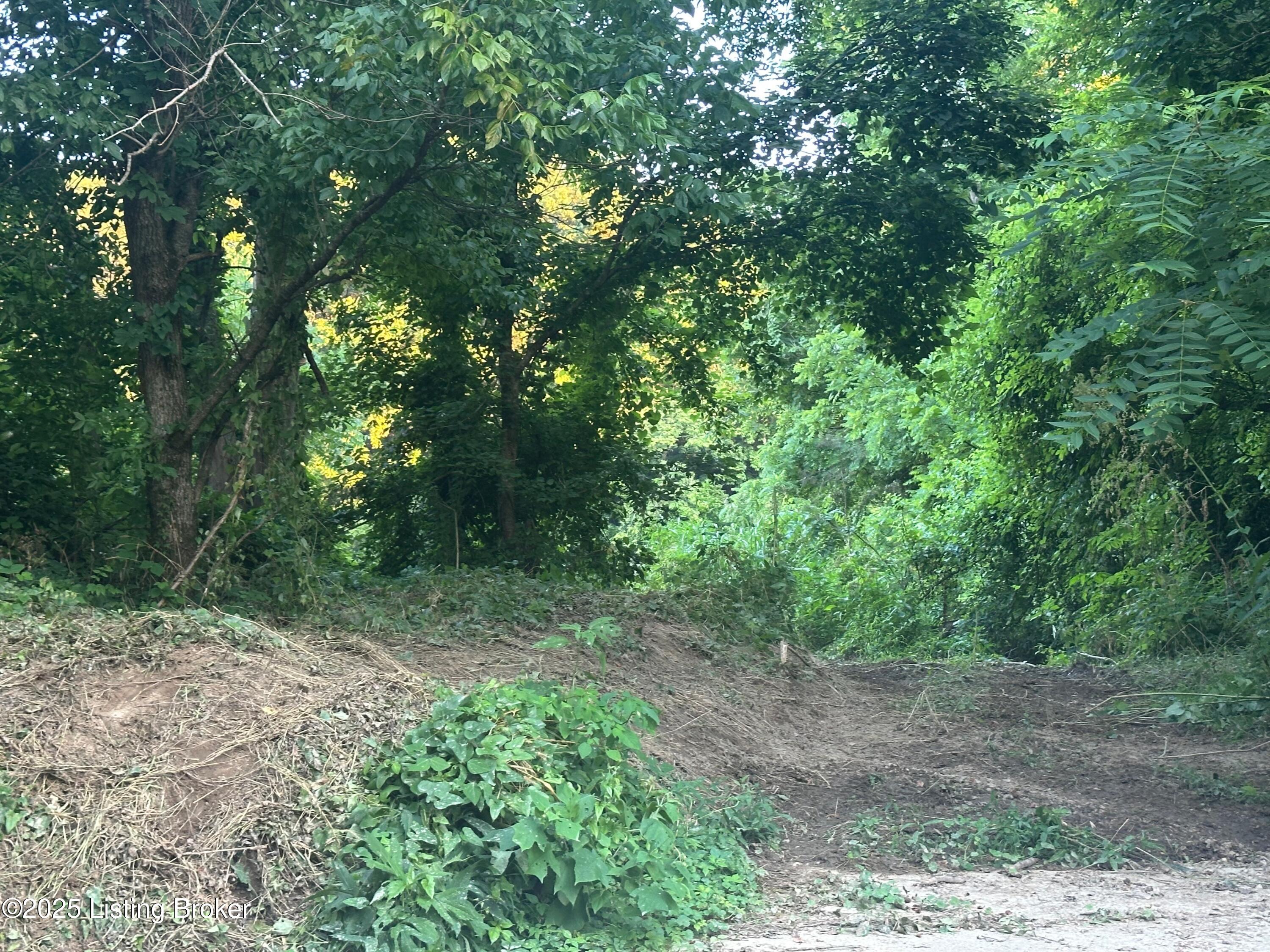 0 Highway 49 Property Photo 1
