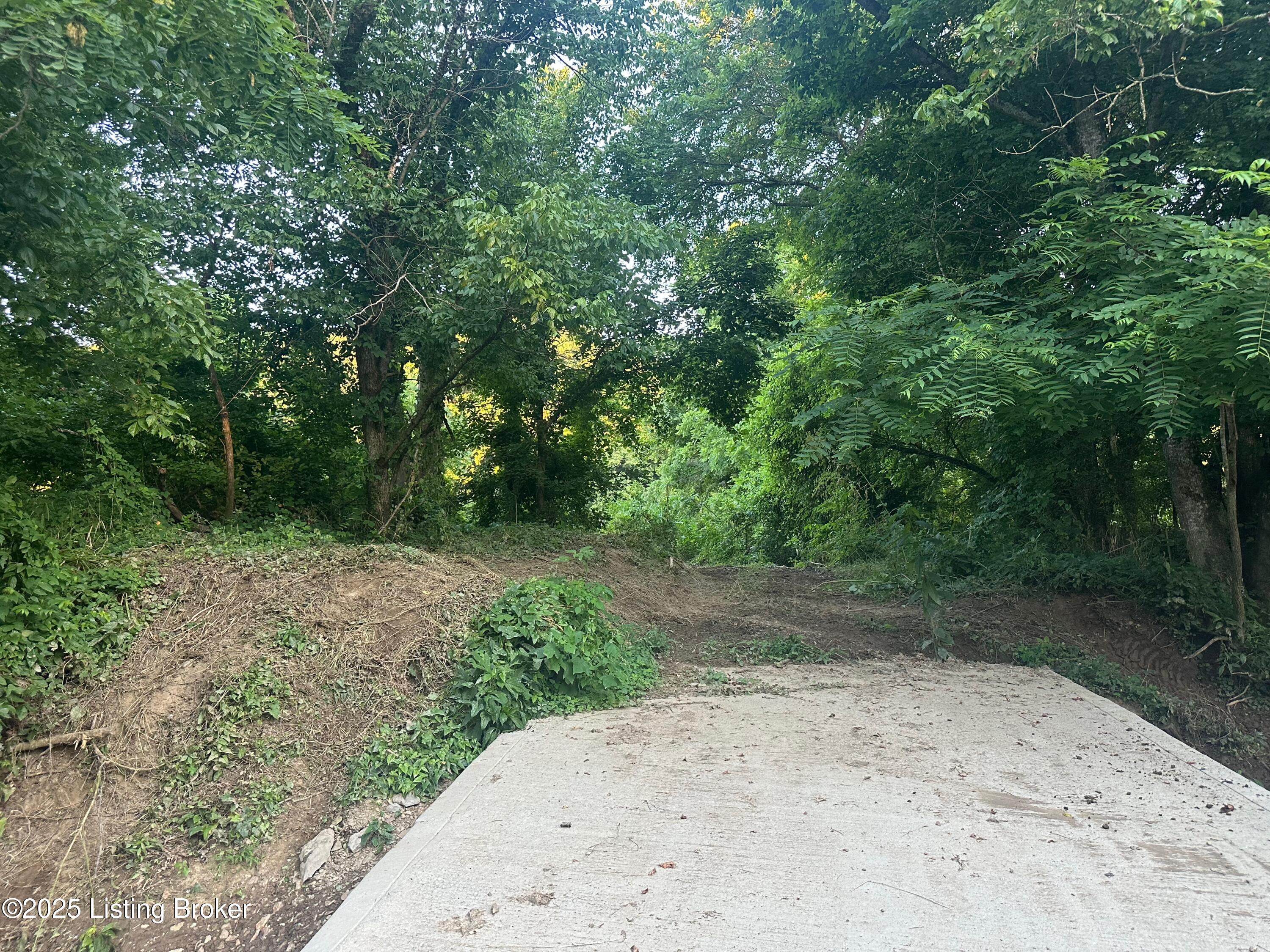 0 Highway 49 Property Photo 2