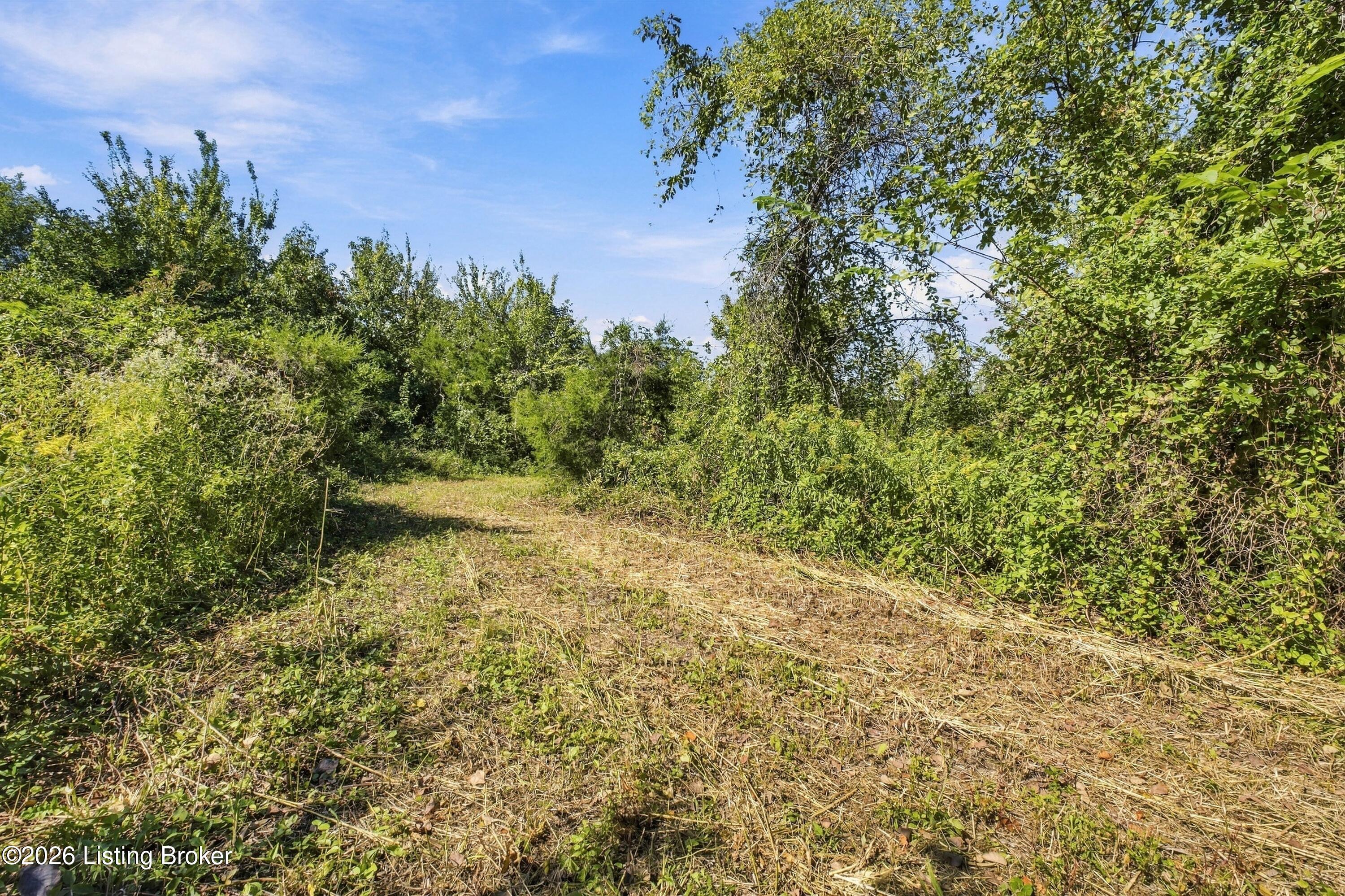 4789 Peck Pike Rd Property Photo 5