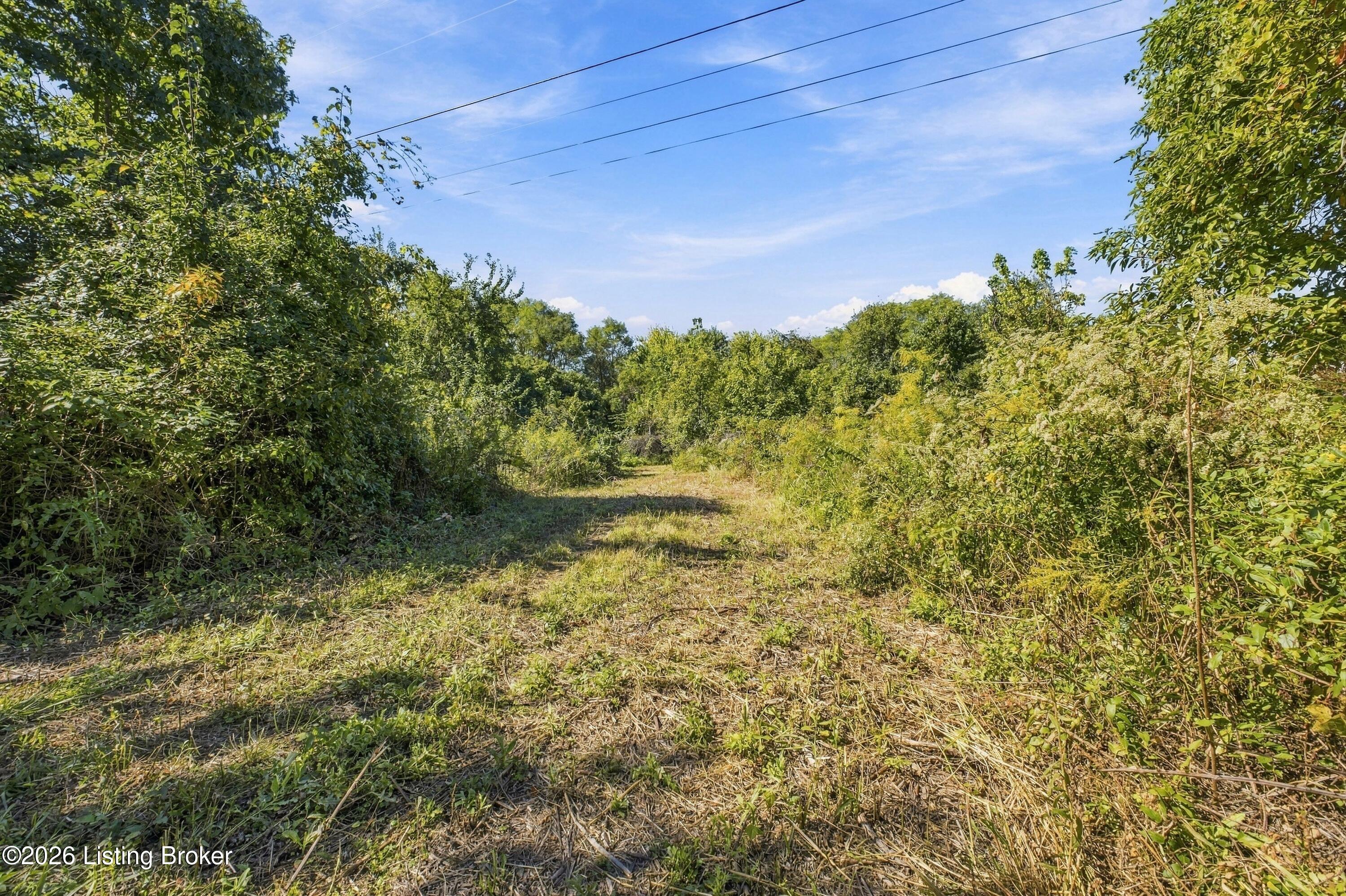 4789 Peck Pike Rd Property Photo 6