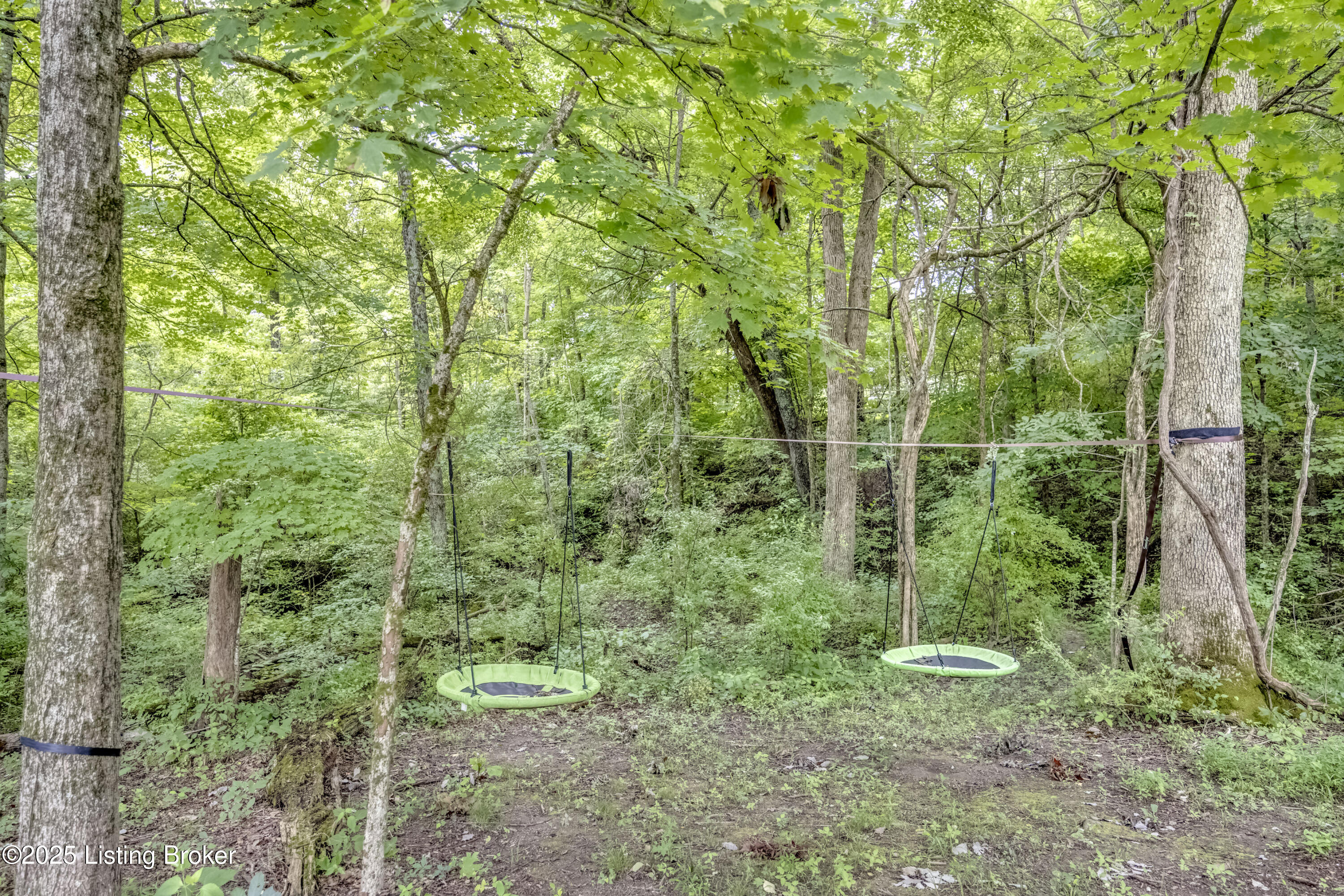 7105 Hollow Oak Ct Property Photo 61