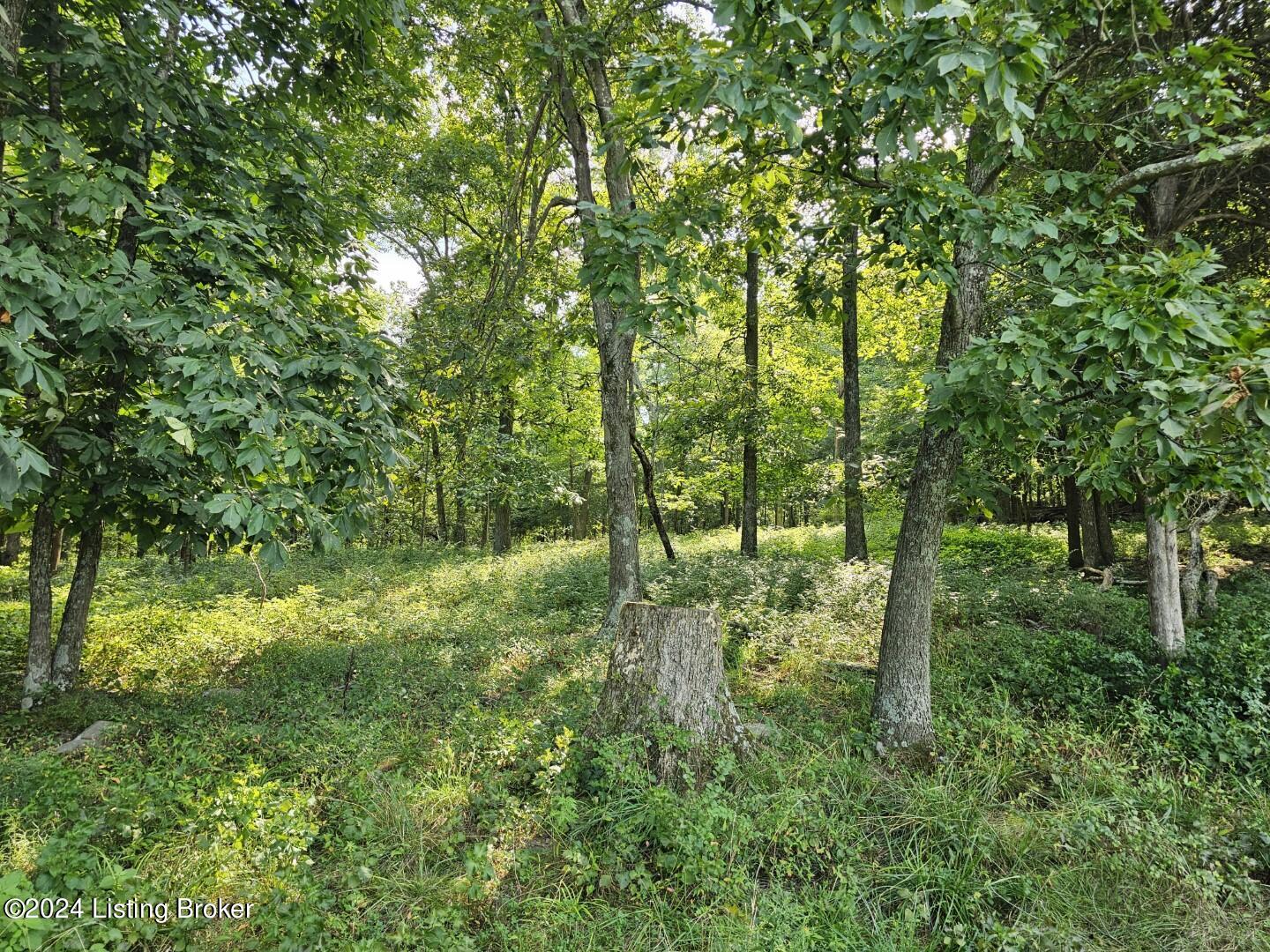 Tract 8 Troutman Ln Property Photo 7