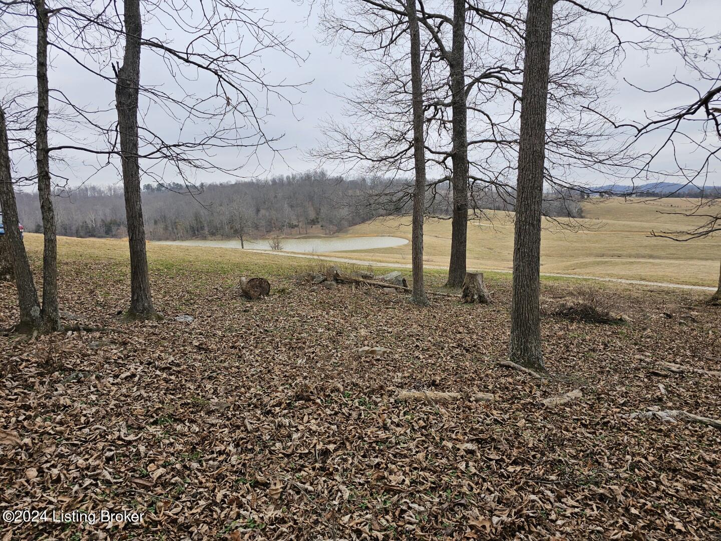 Tract 8 Troutman Ln Property Photo 12