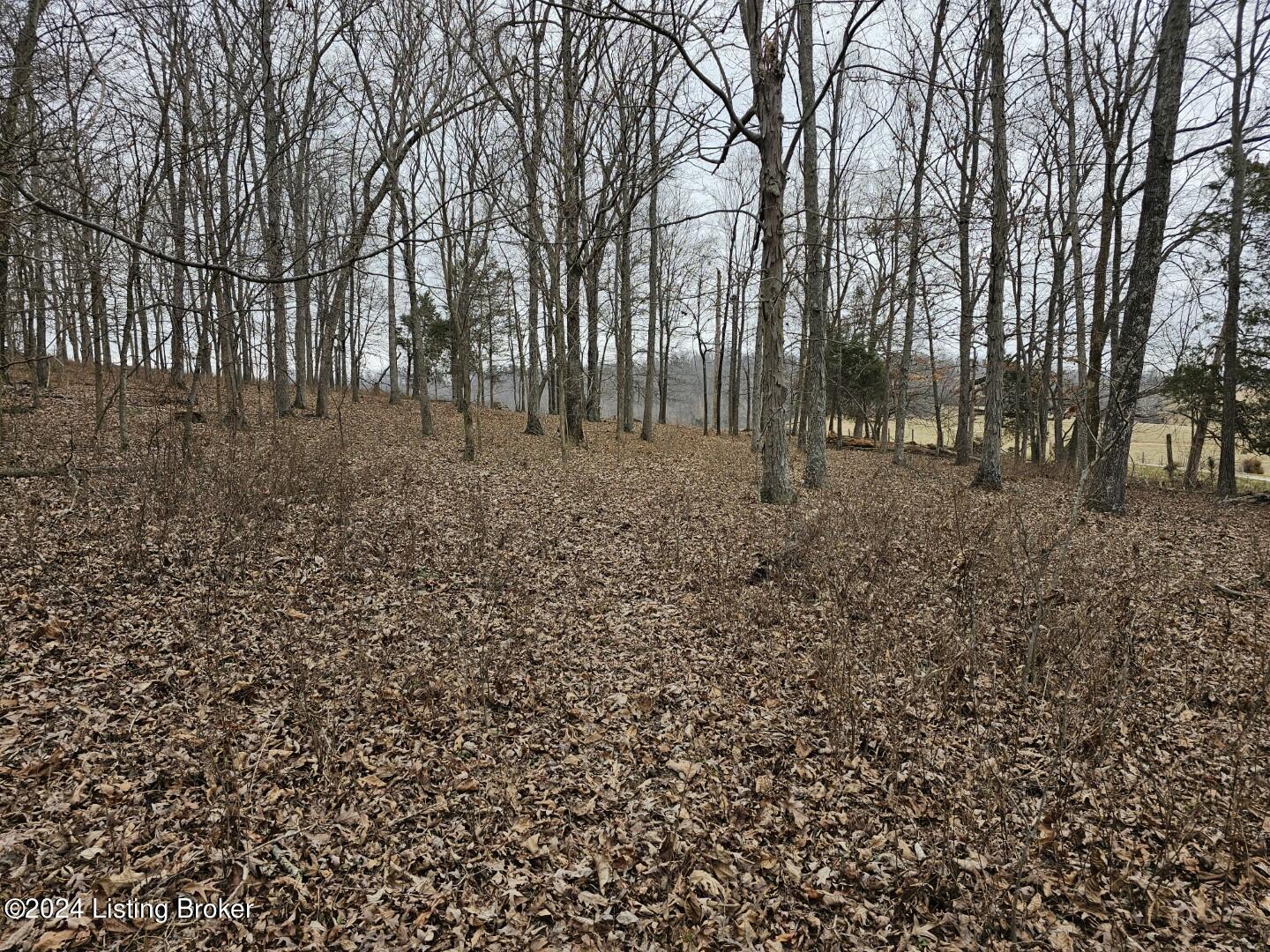 Tract 8 Troutman Ln Property Photo 14