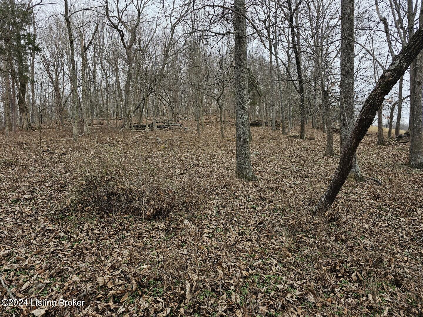 Tract 8 Troutman Ln Property Photo 15