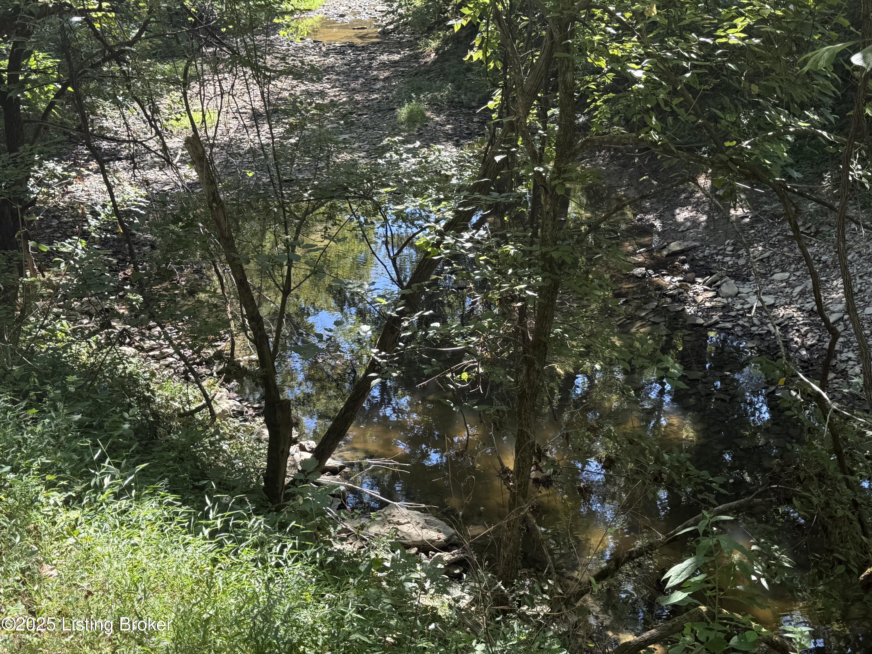 1590 Crooked Creek Rd Property Photo 3