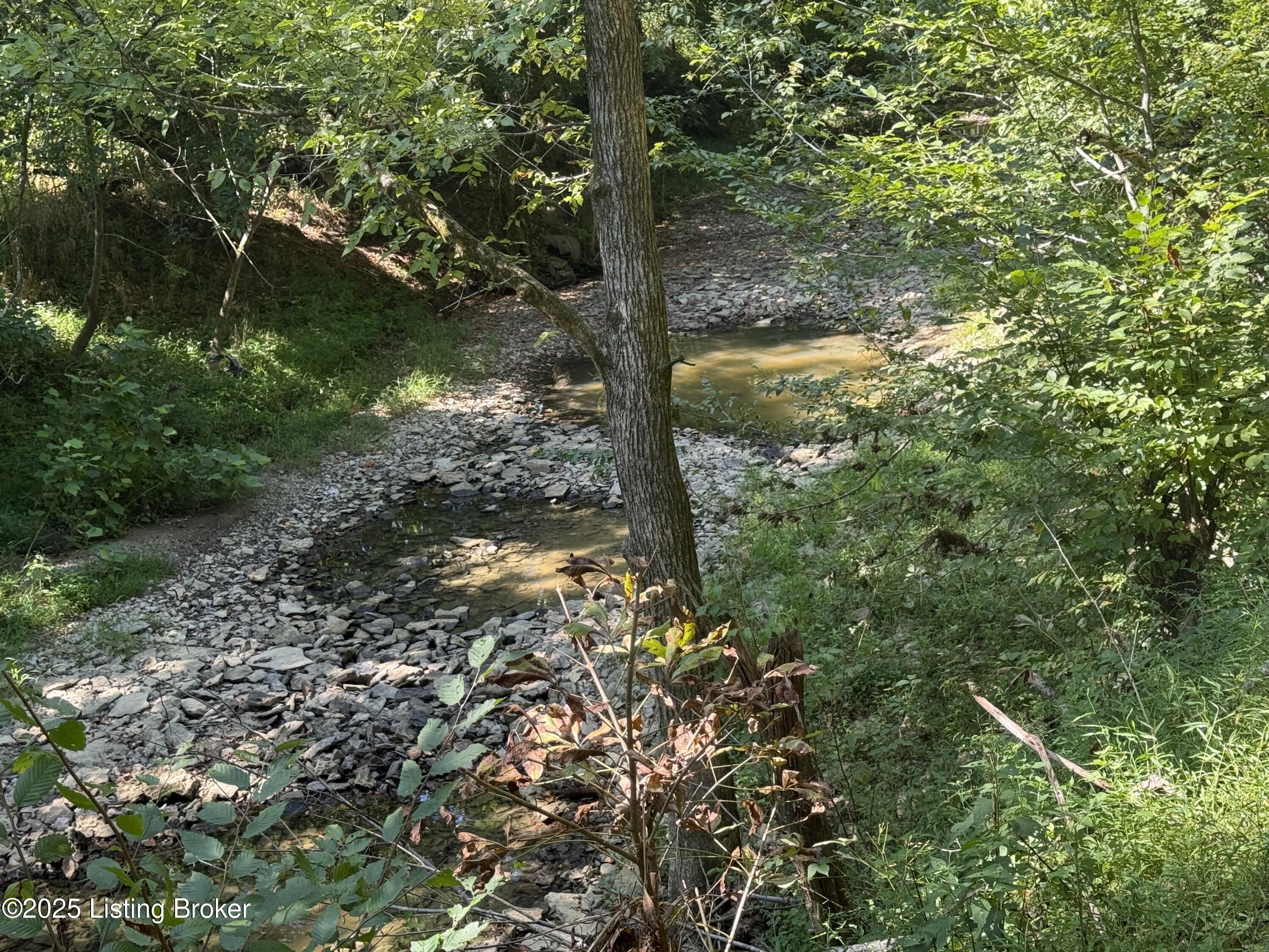 1590 Crooked Creek Rd Property Photo 4