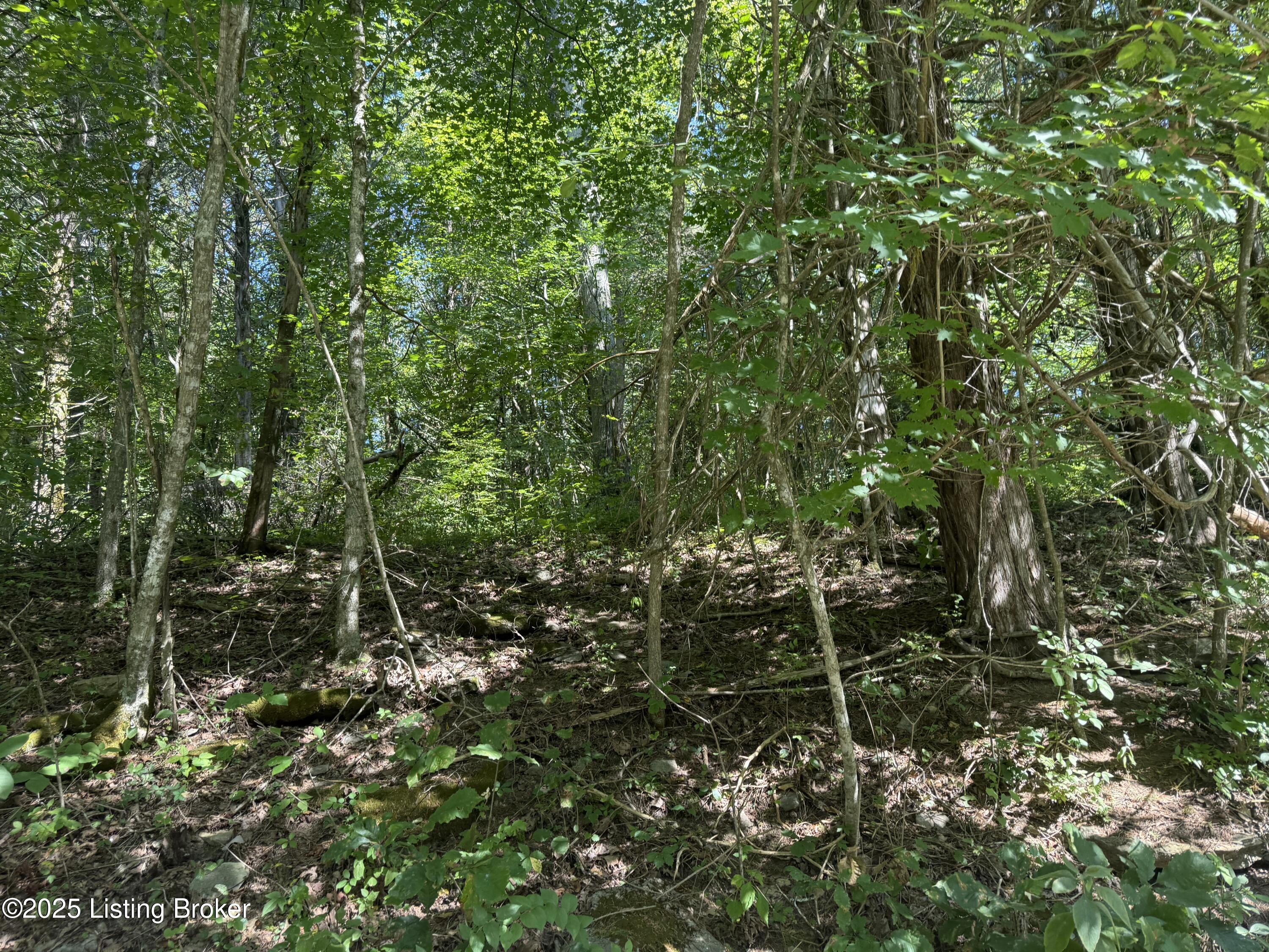 1590 Crooked Creek Rd Property Photo 6