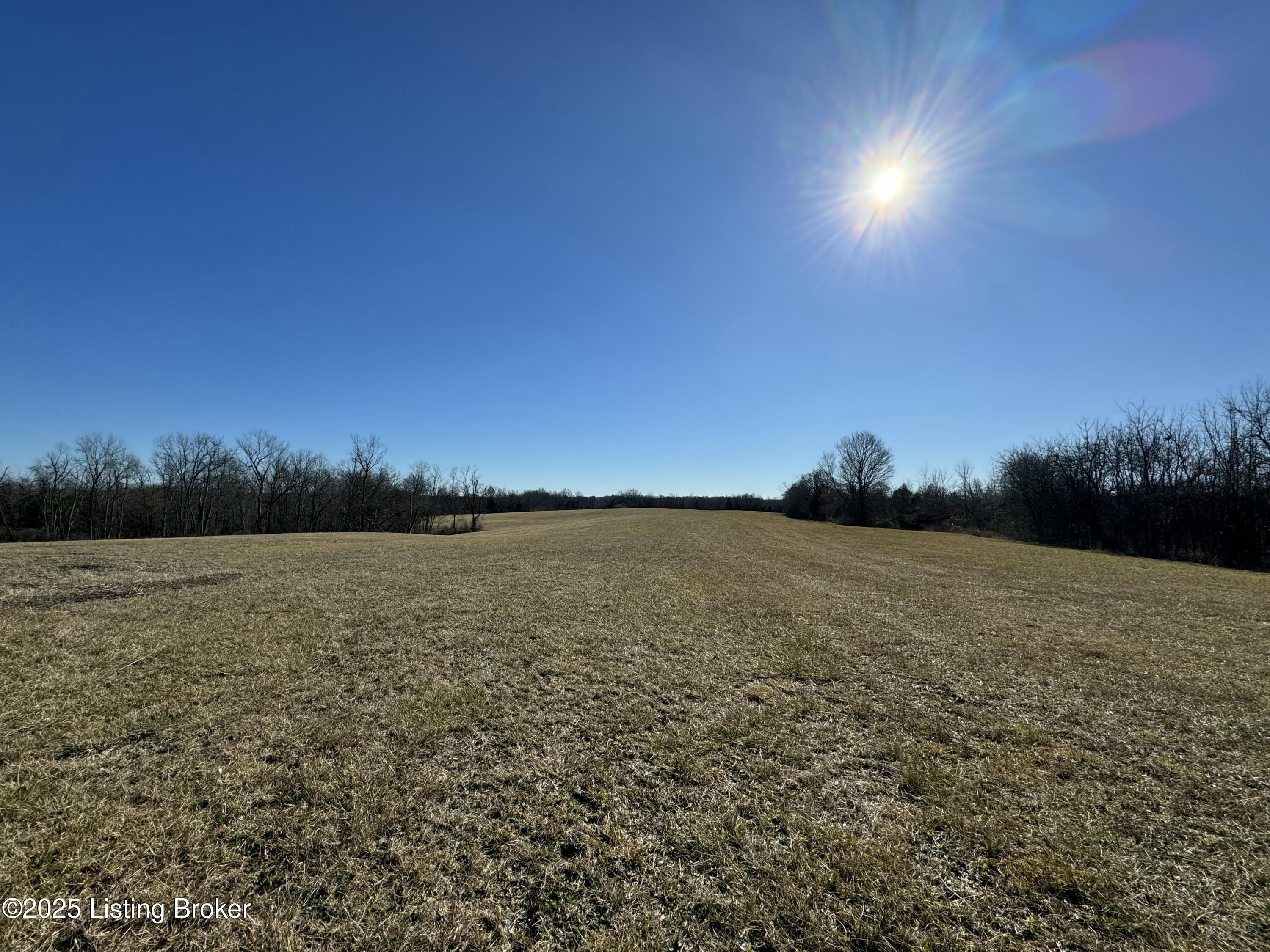 6692 Hempridge Rd Property Photo 3