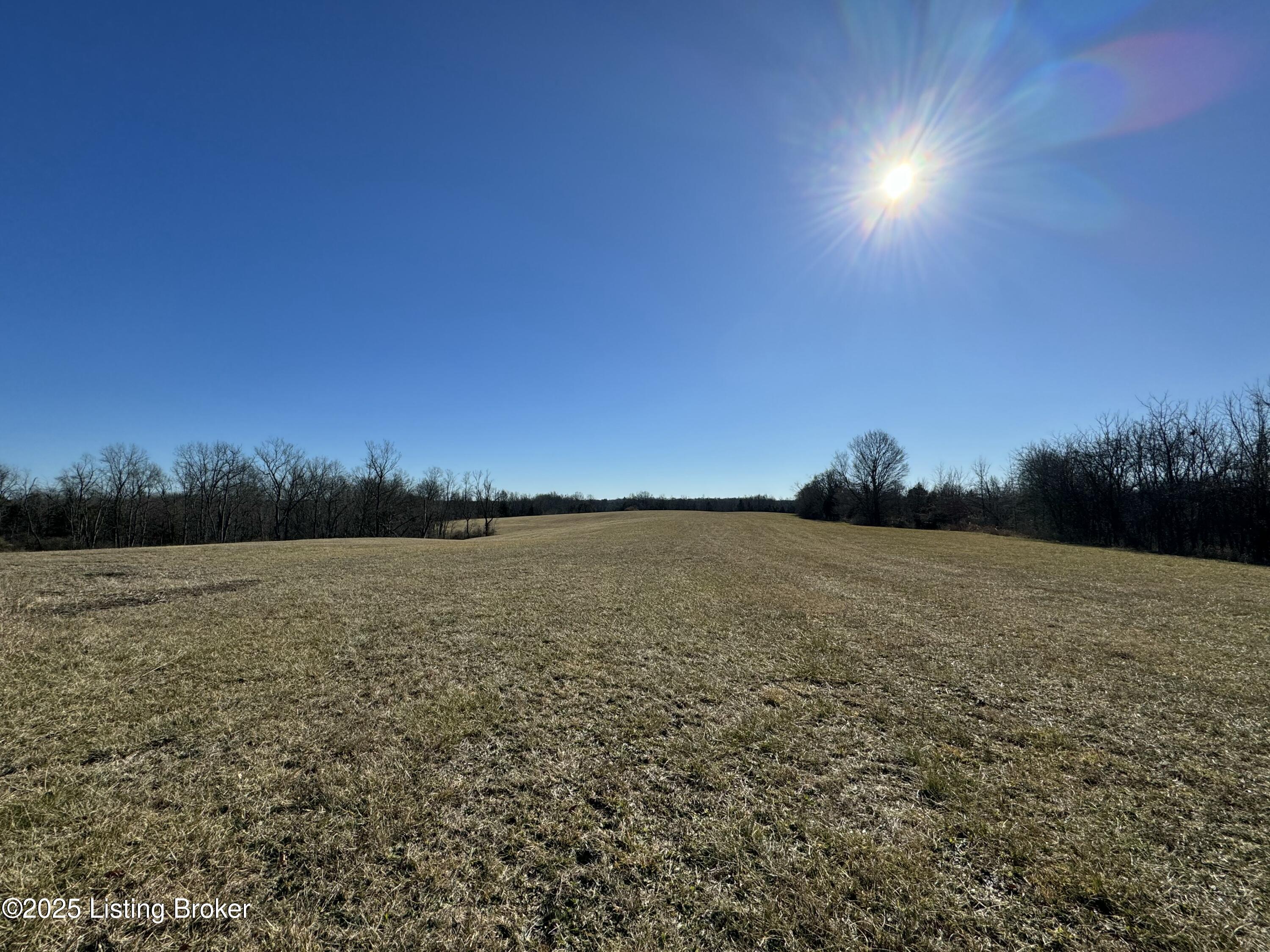 6692 Hempridge Rd Property Photo 4