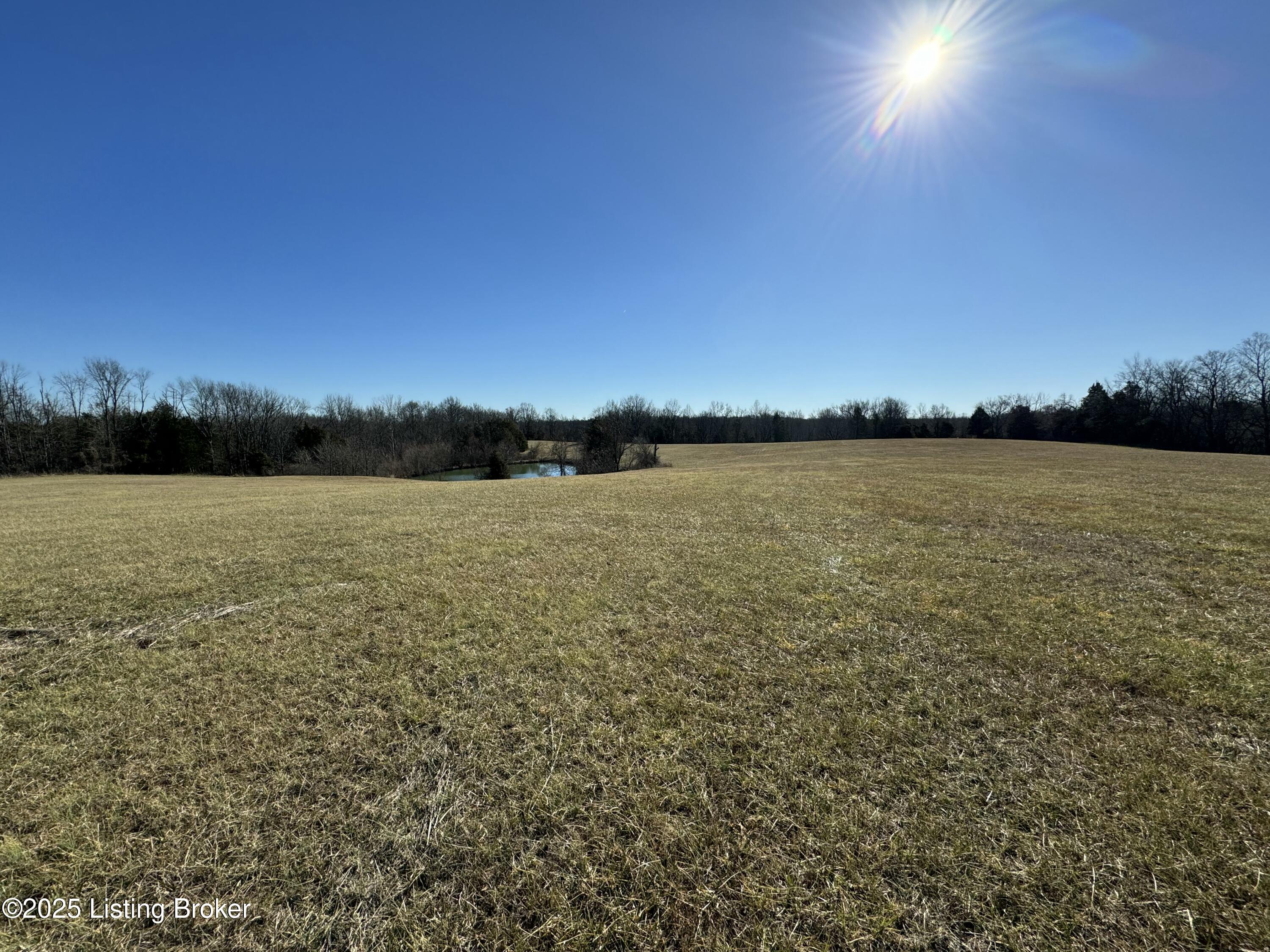 6692 Hempridge Rd Property Photo 5