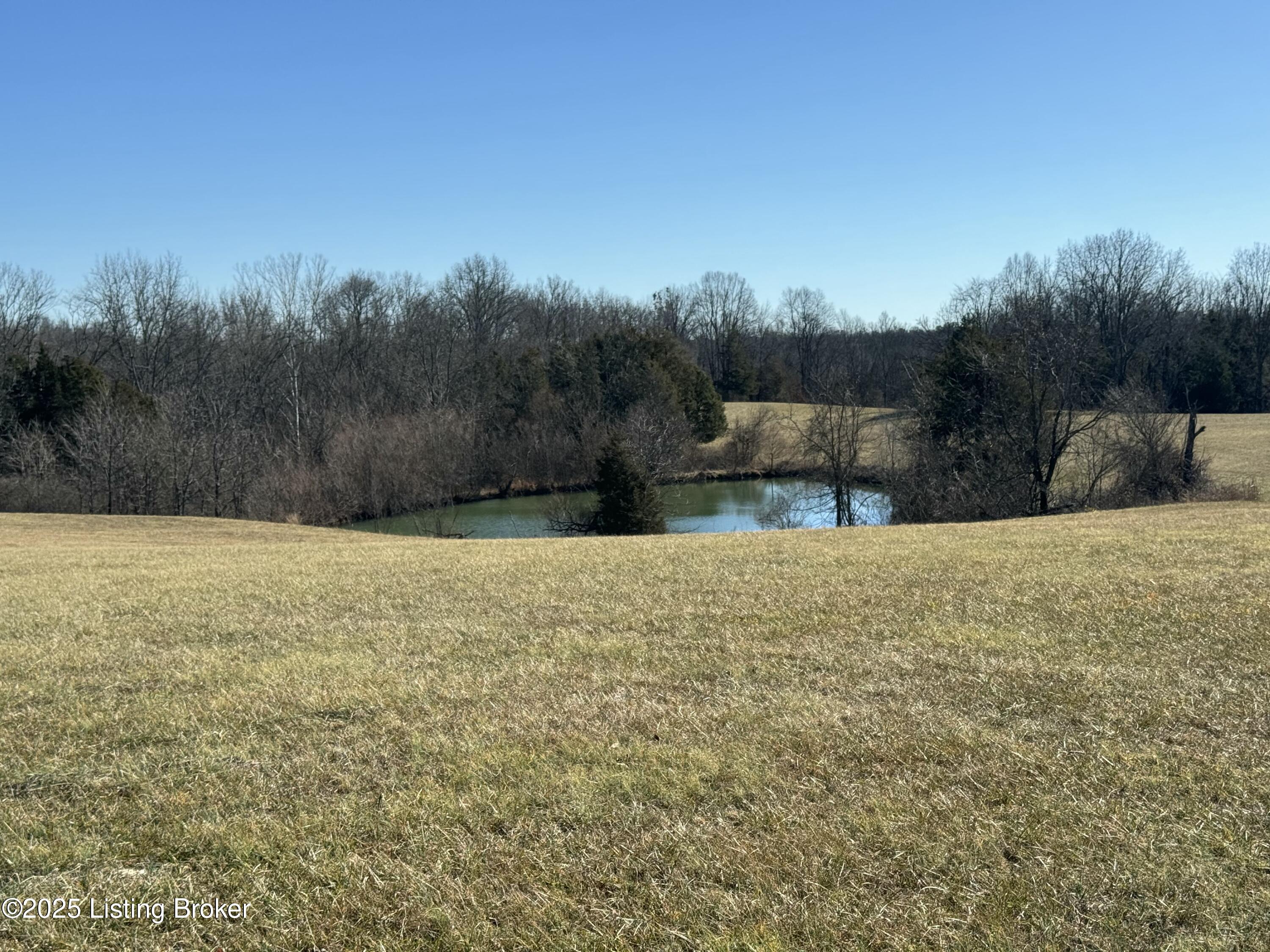 6692 Hempridge Rd Property Photo 6