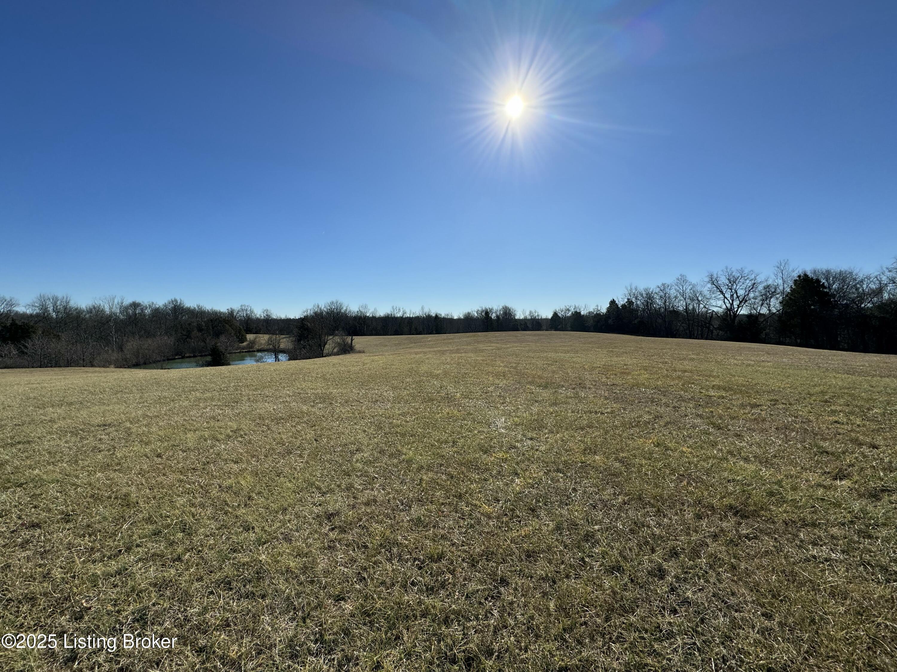 6692 Hempridge Rd Property Photo 7