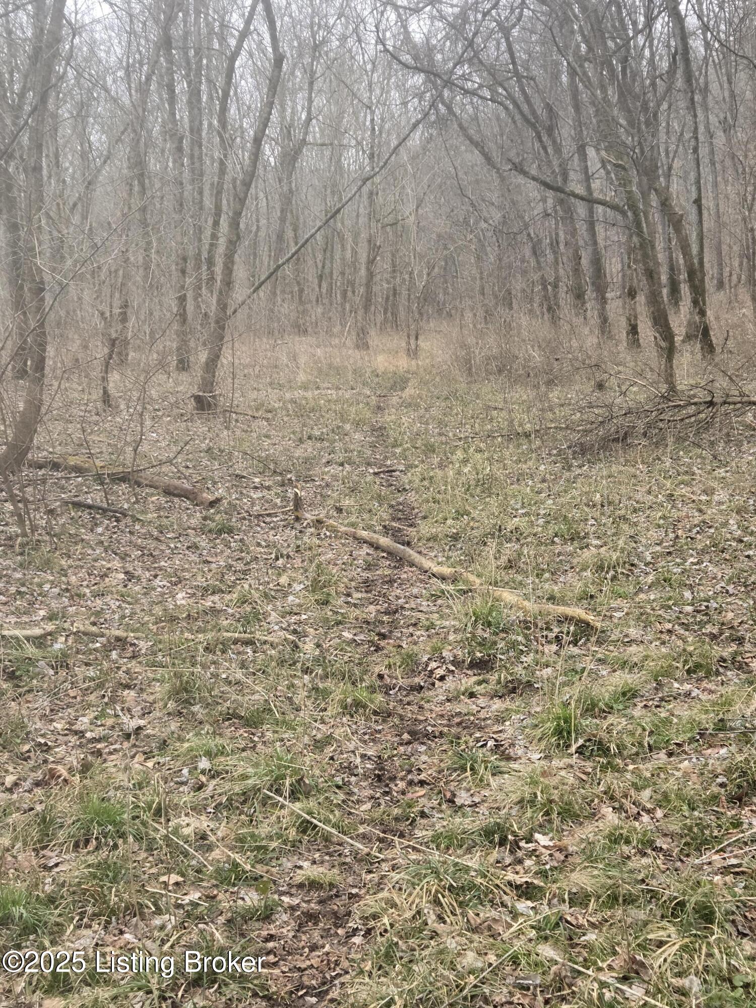 170 Ac Wand Cemetery Road Property Photo 11