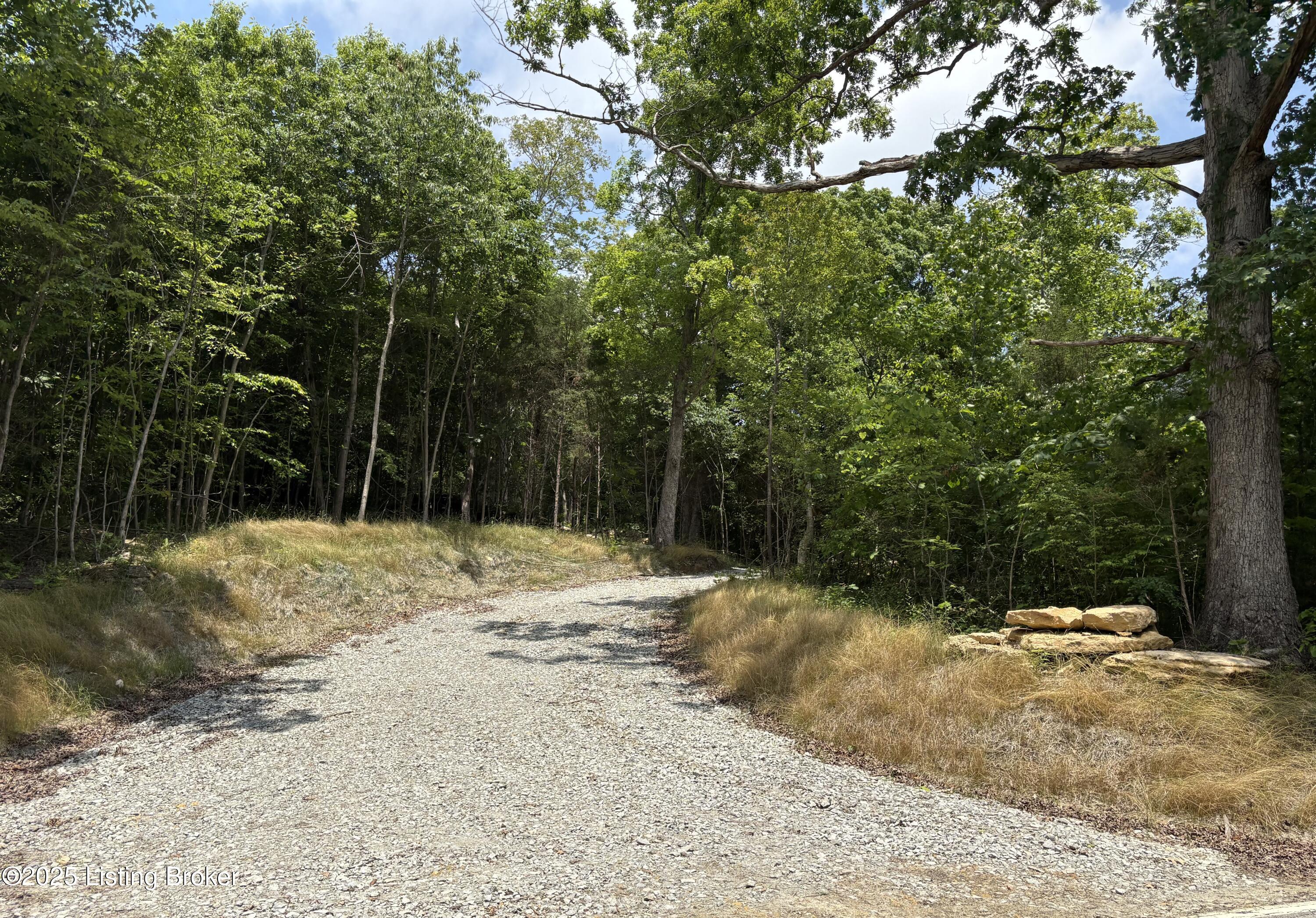 6403 New Cut Rd Tract 2 Property Photo 4