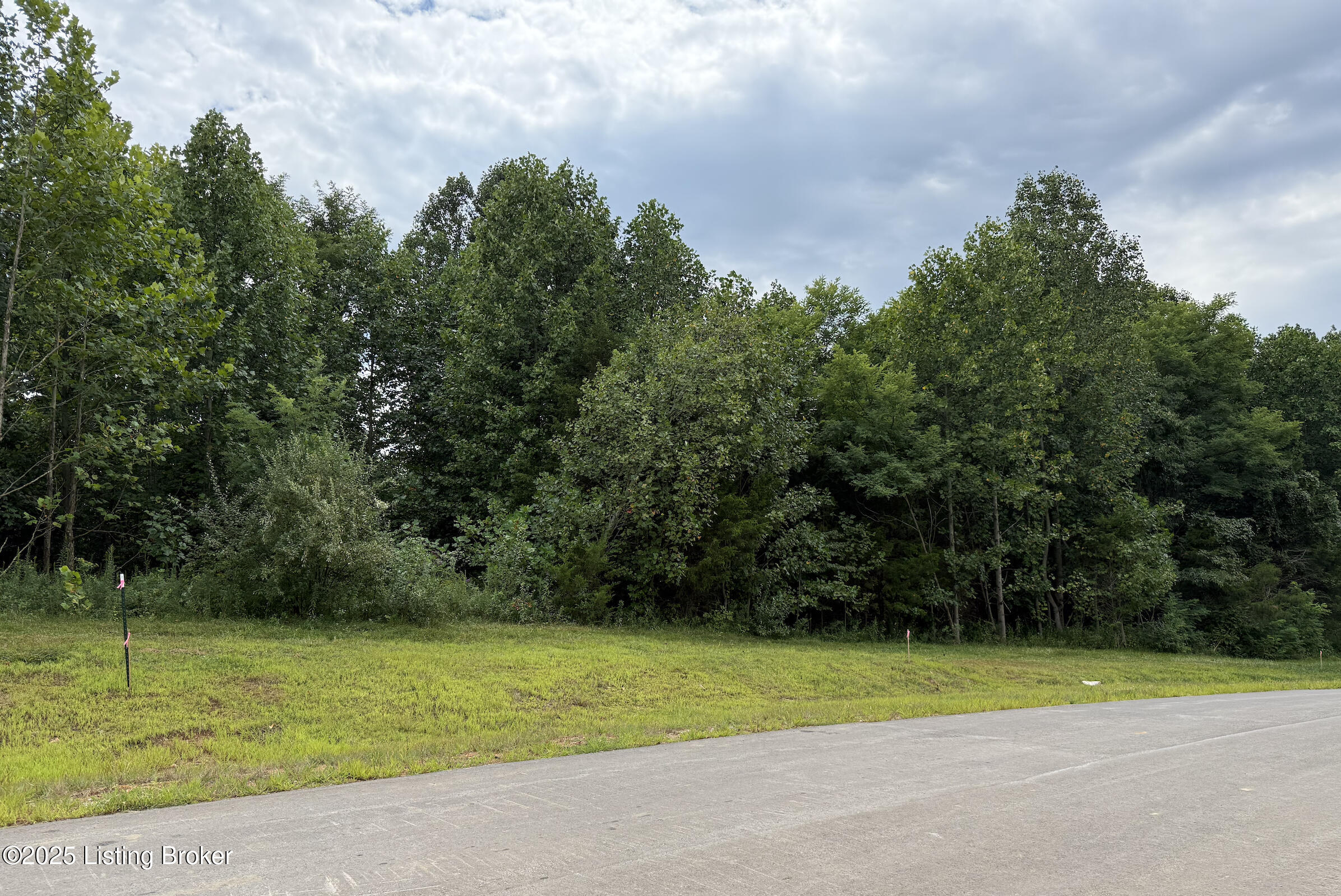 5304 Sycamore Ridge Ln Property Photo 2