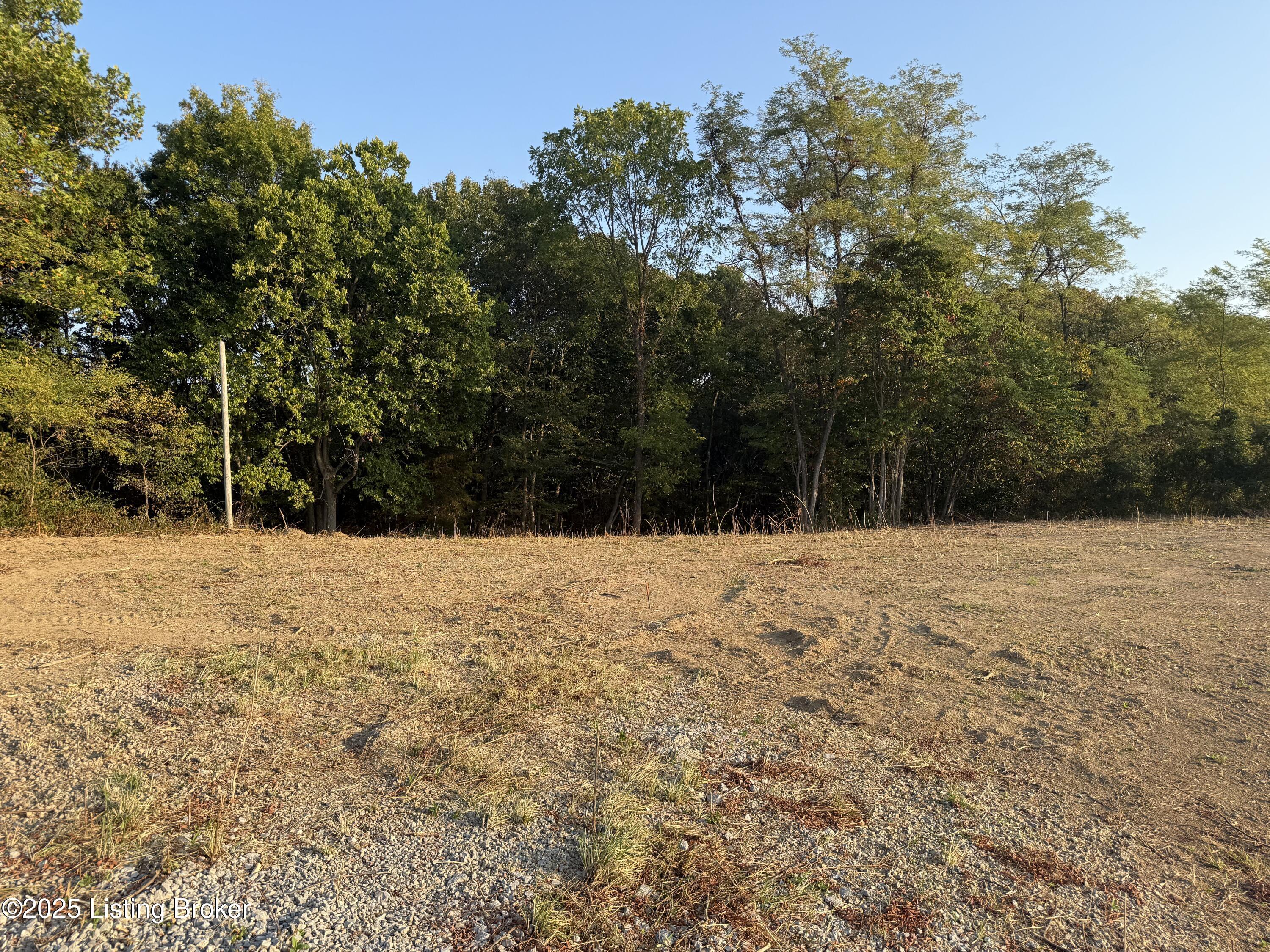 37 Mandy Ct Property Photo 5