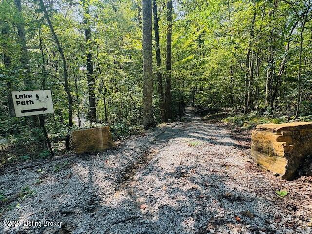 30 Tulip Poplar Ln Property Photo 43