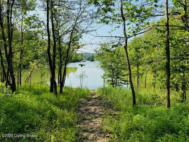 30 Tulip Poplar Ln Property Photo 45