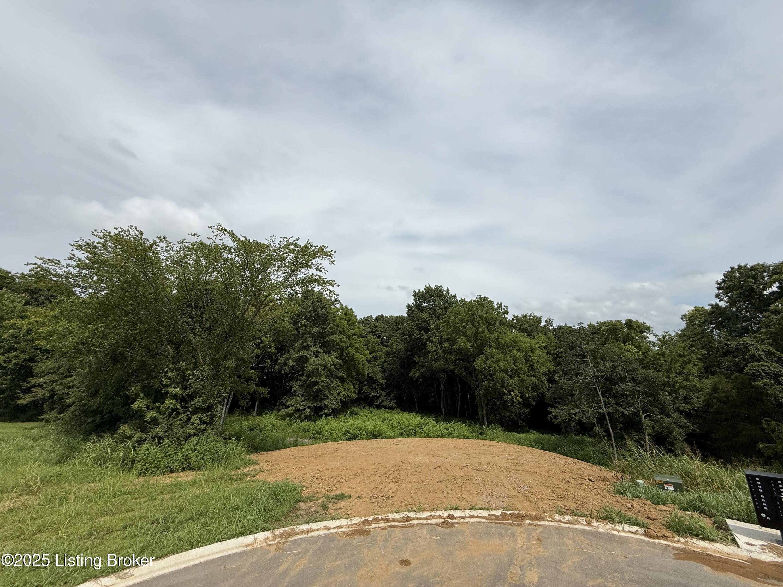 Lot 44 Eagle Vista Estates Property Photo 3