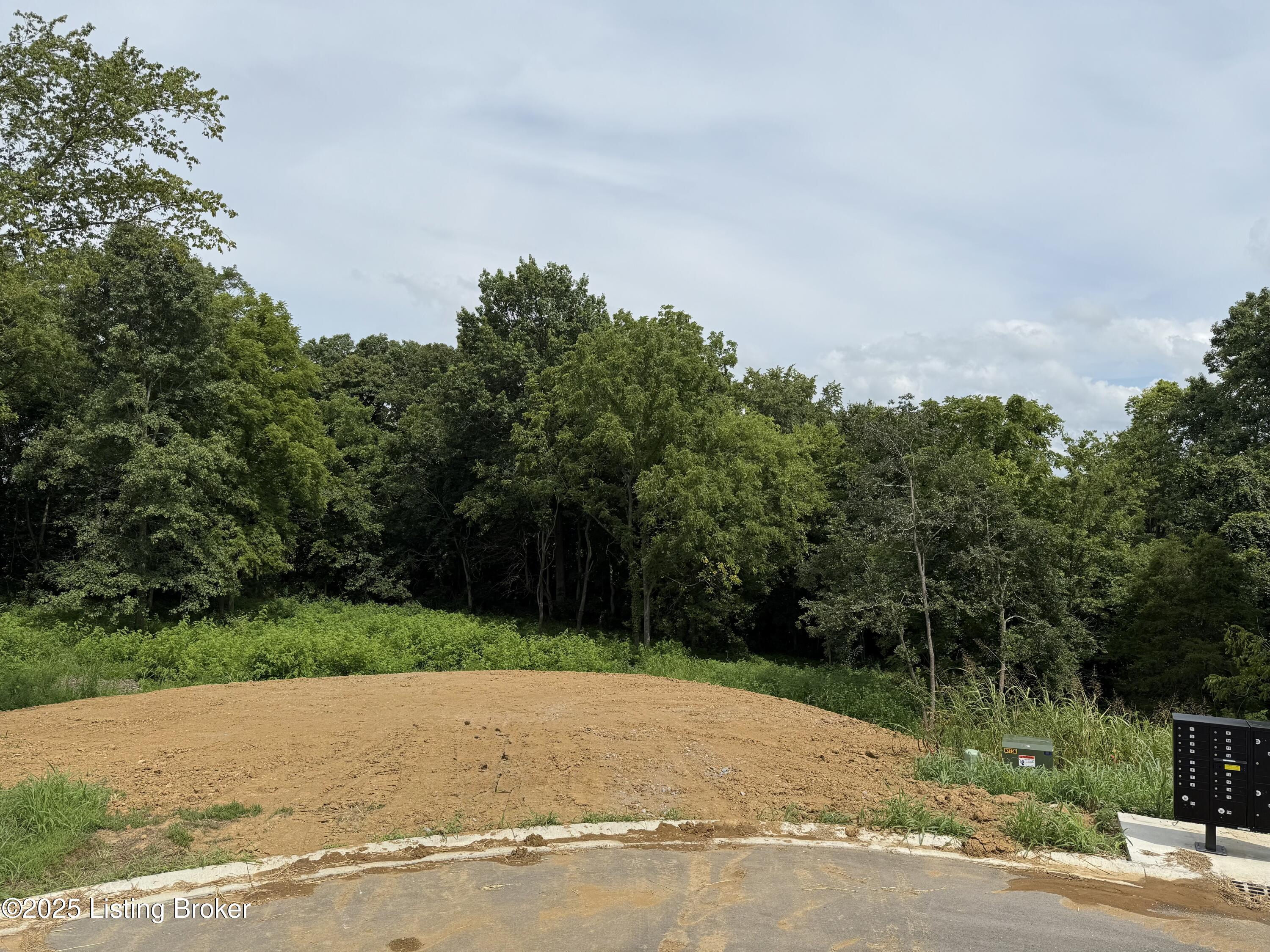 Lot 44 Eagle Vista Estates Property Photo 4