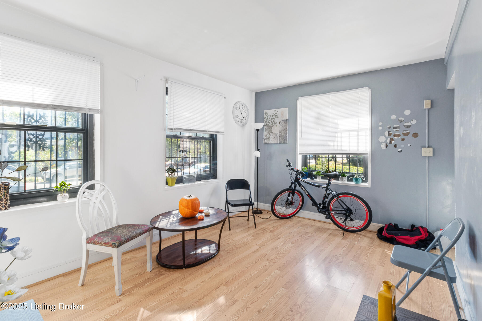 12 College Ct Property Photo 4