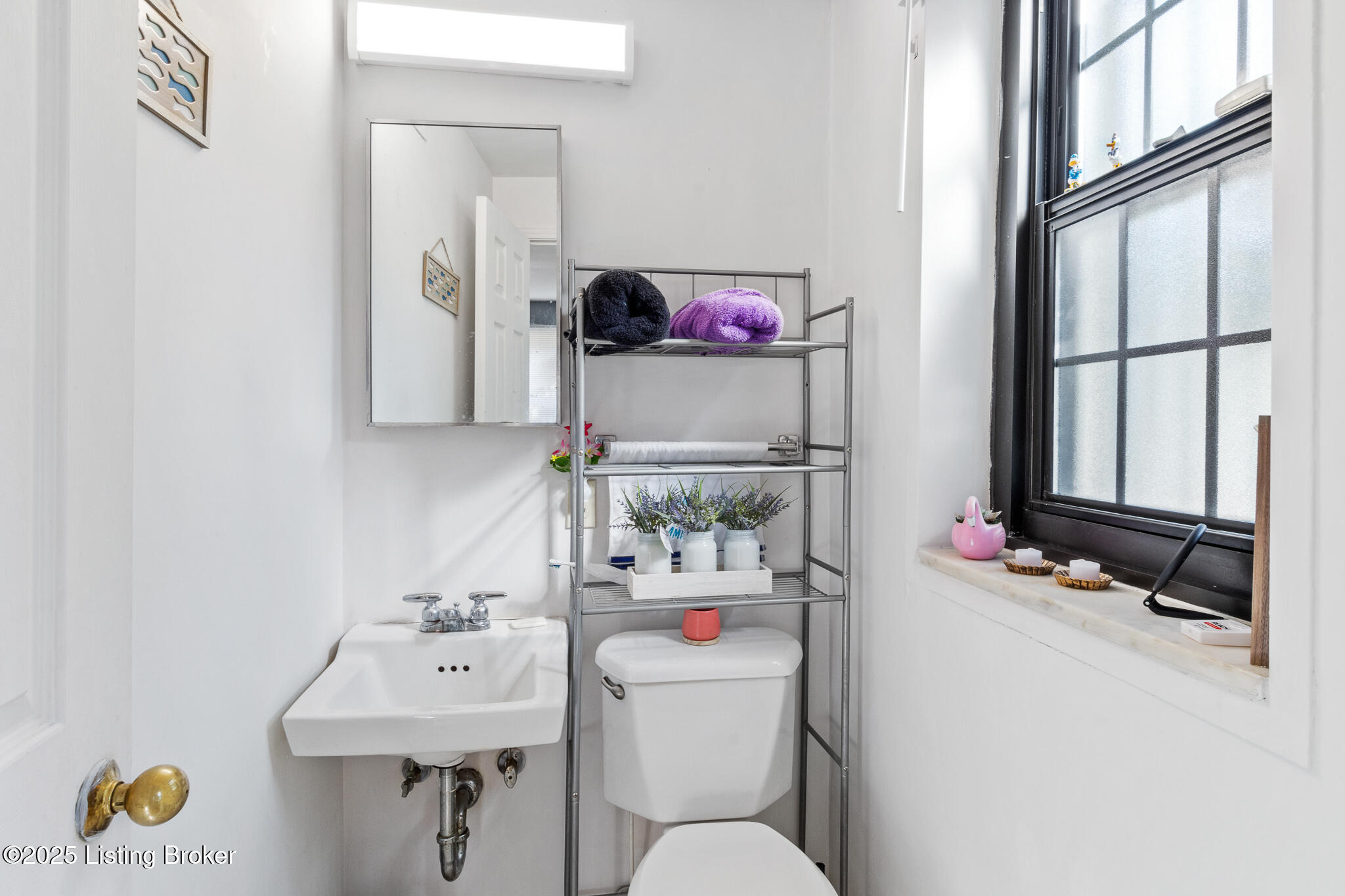 12 College Ct Property Photo 9