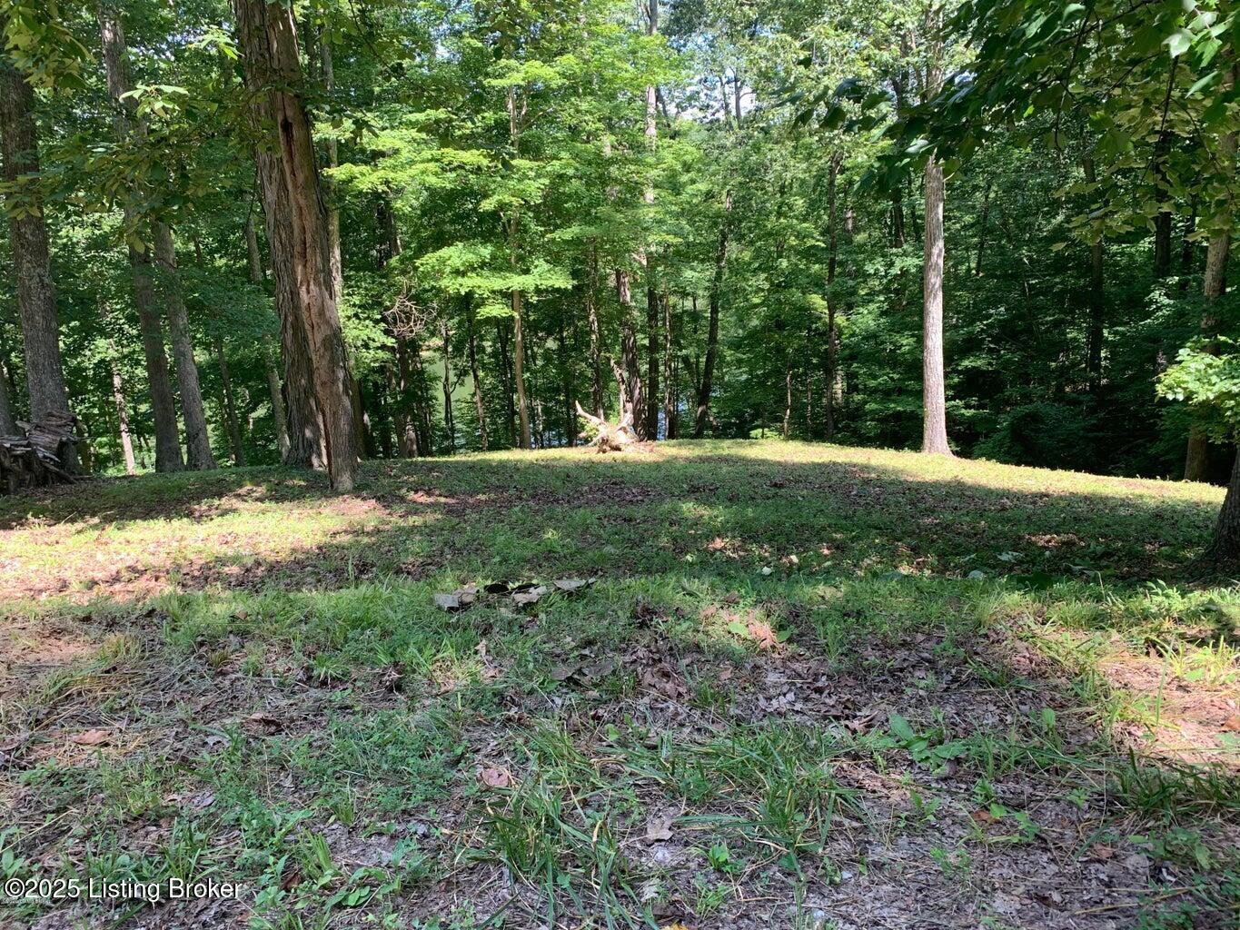 Lot 58 Lake Forest Shores Dr Property Photo 2