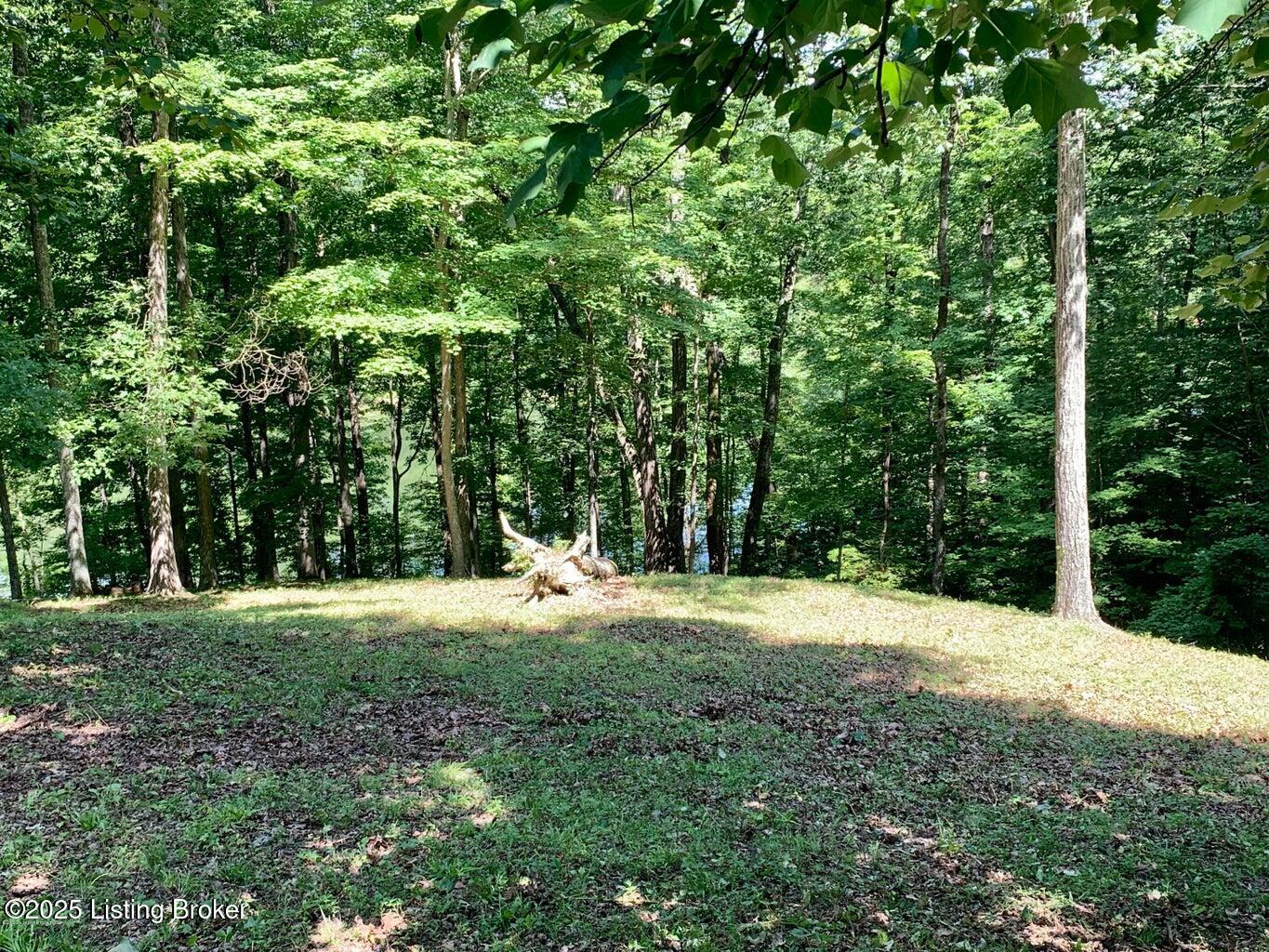 Lot 58 Lake Forest Shores Dr Property Photo 3