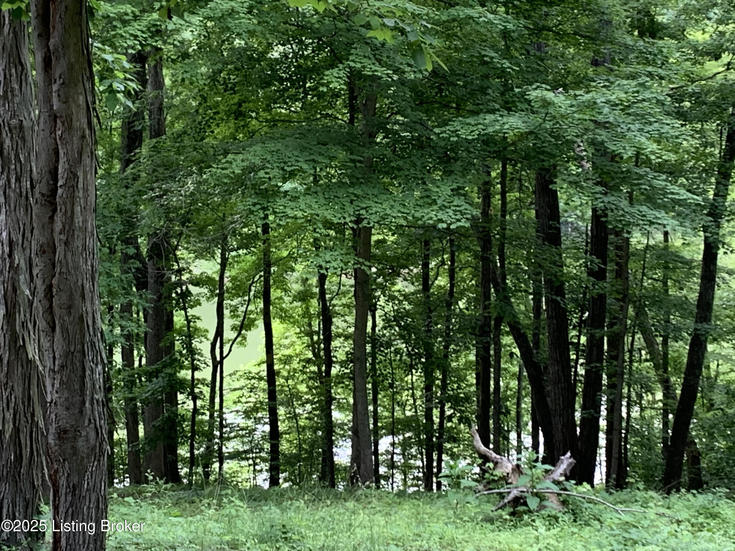 Lot 58 Lake Forest Shores Dr Property Photo 4