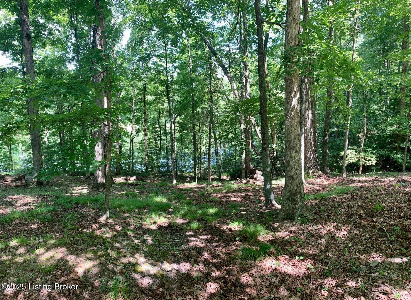 Lot 58 Lake Forest Shores Dr Property Photo 5