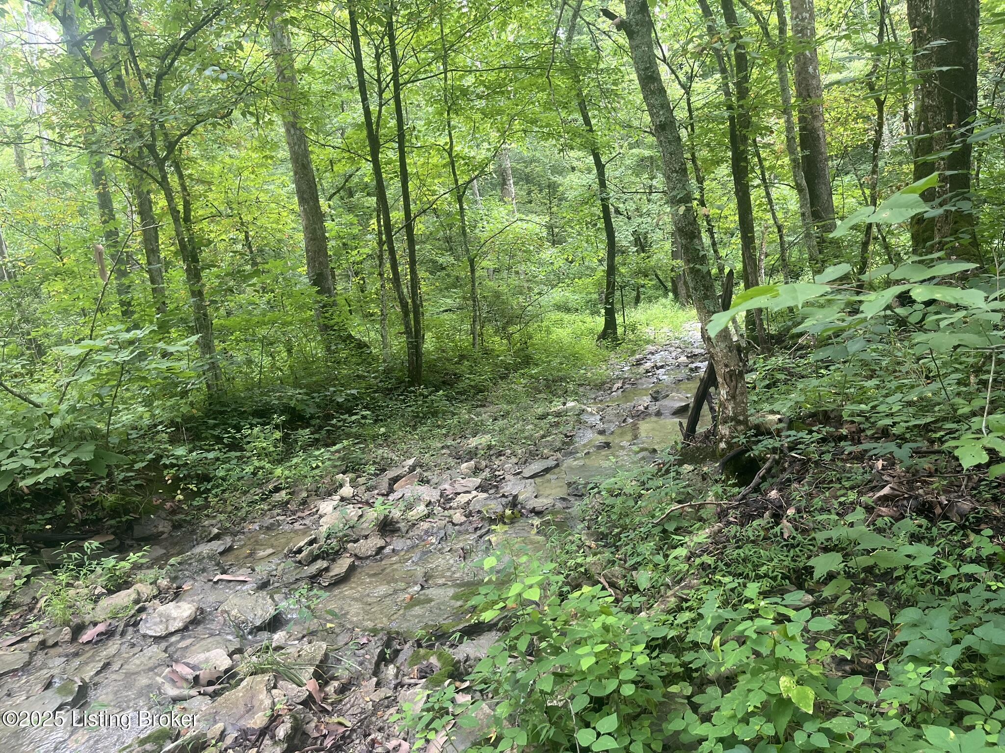 3224-4 Goose Creek Property Photo 6
