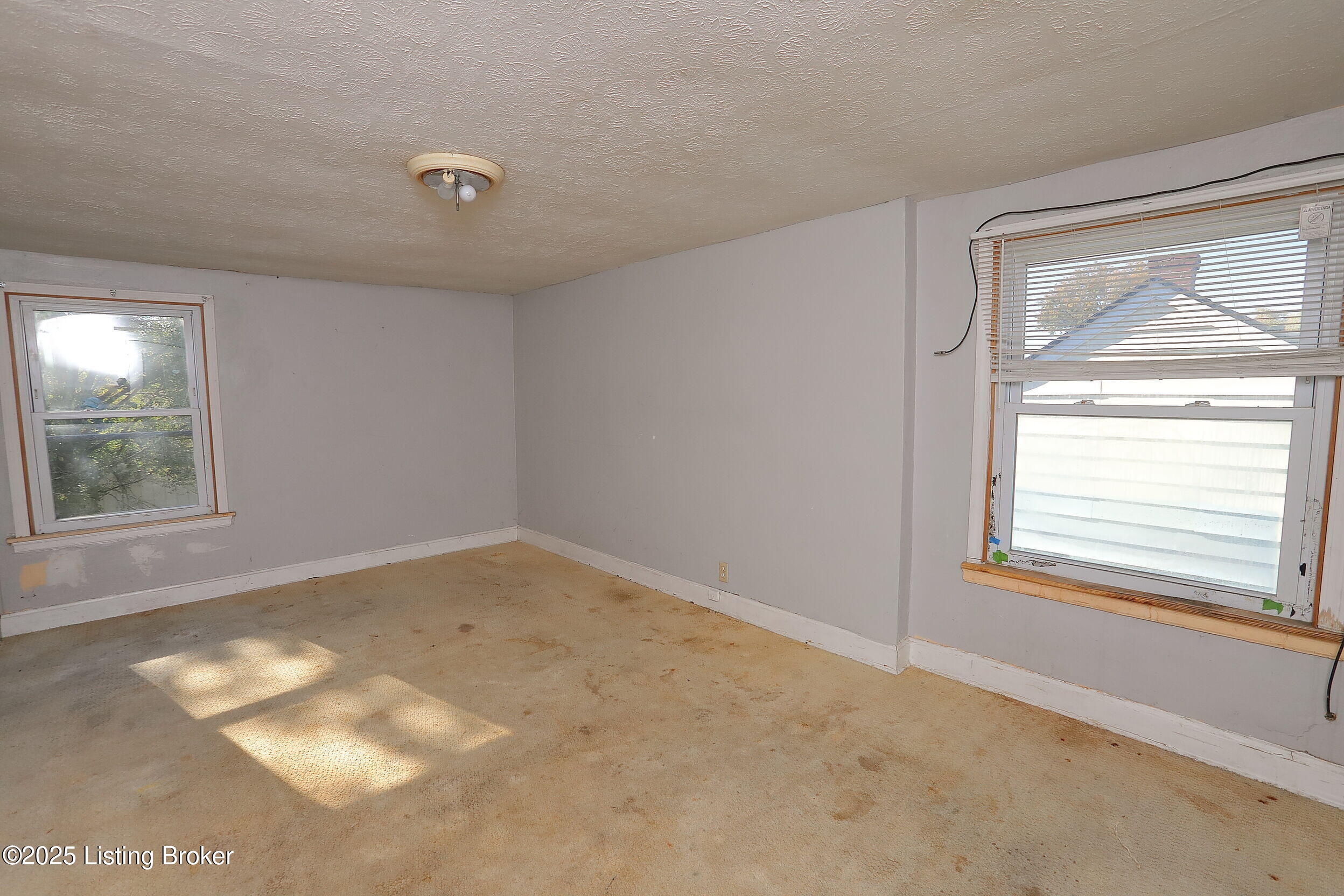 201 Virginia Ct Property Photo 25