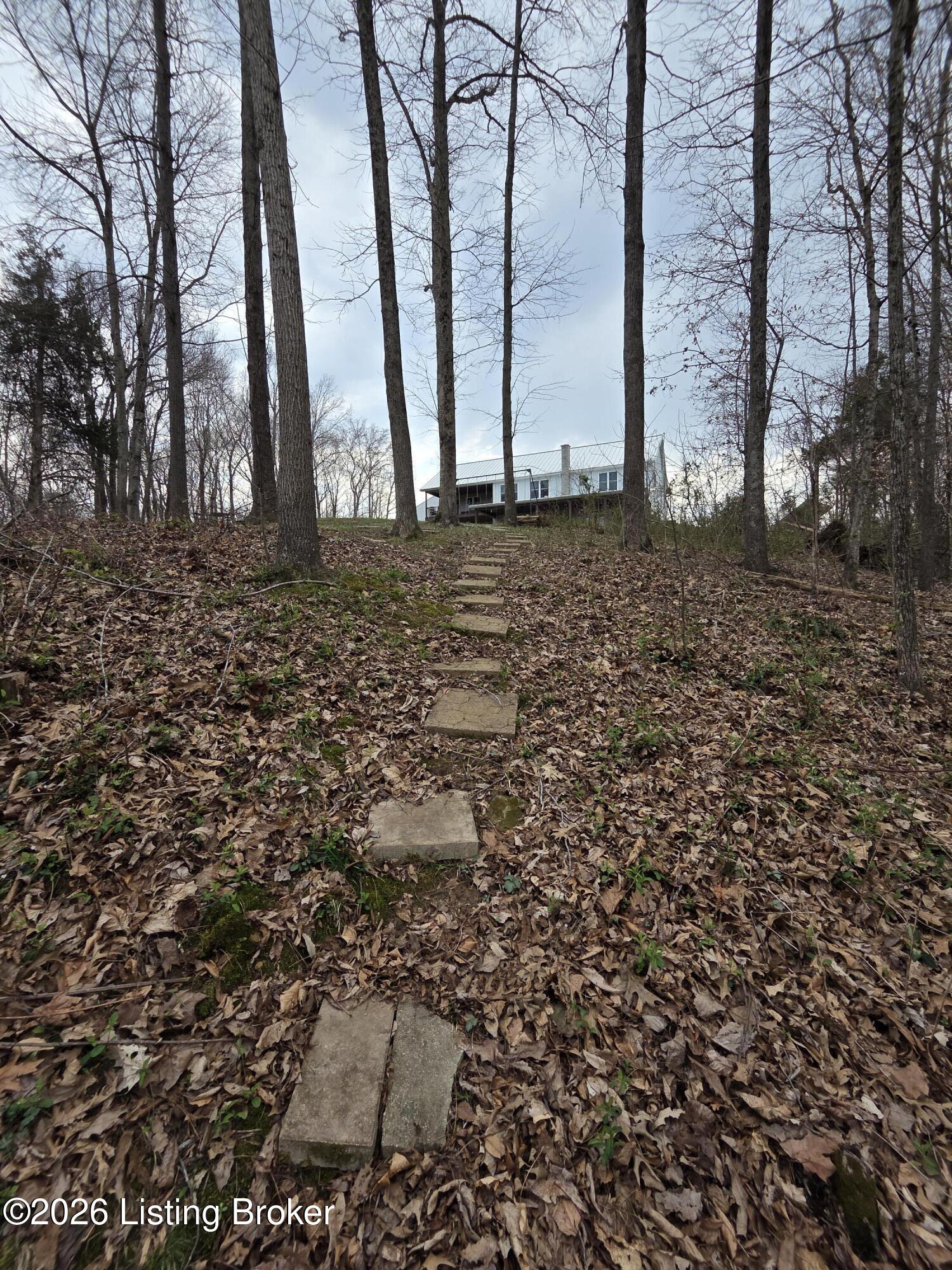 16780 Cub Run Hwy Property Photo 8