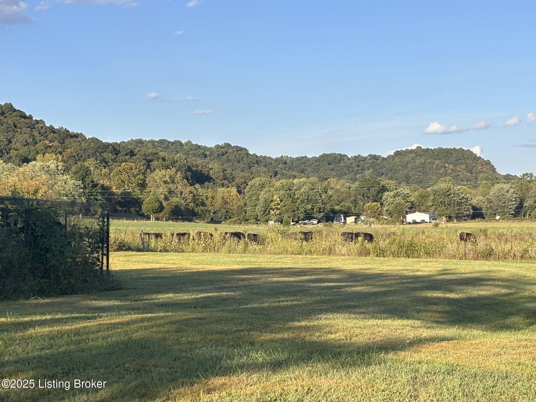 2381 Knob Creek Rd Property Photo 2