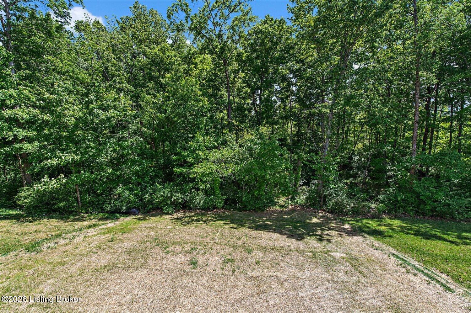 17826 Bridle Run Dr Property Photo 29