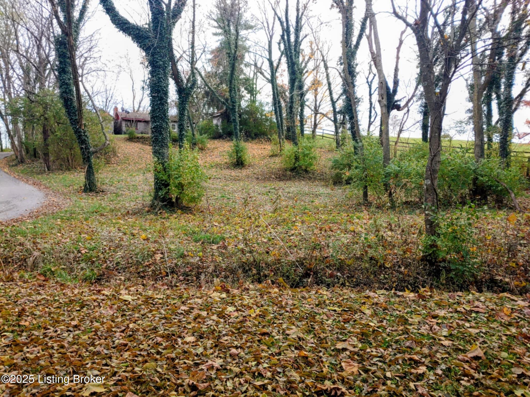 318 Sexton Rd Property Photo 4
