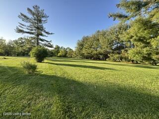 3921 W Highway 22 Property Photo 2