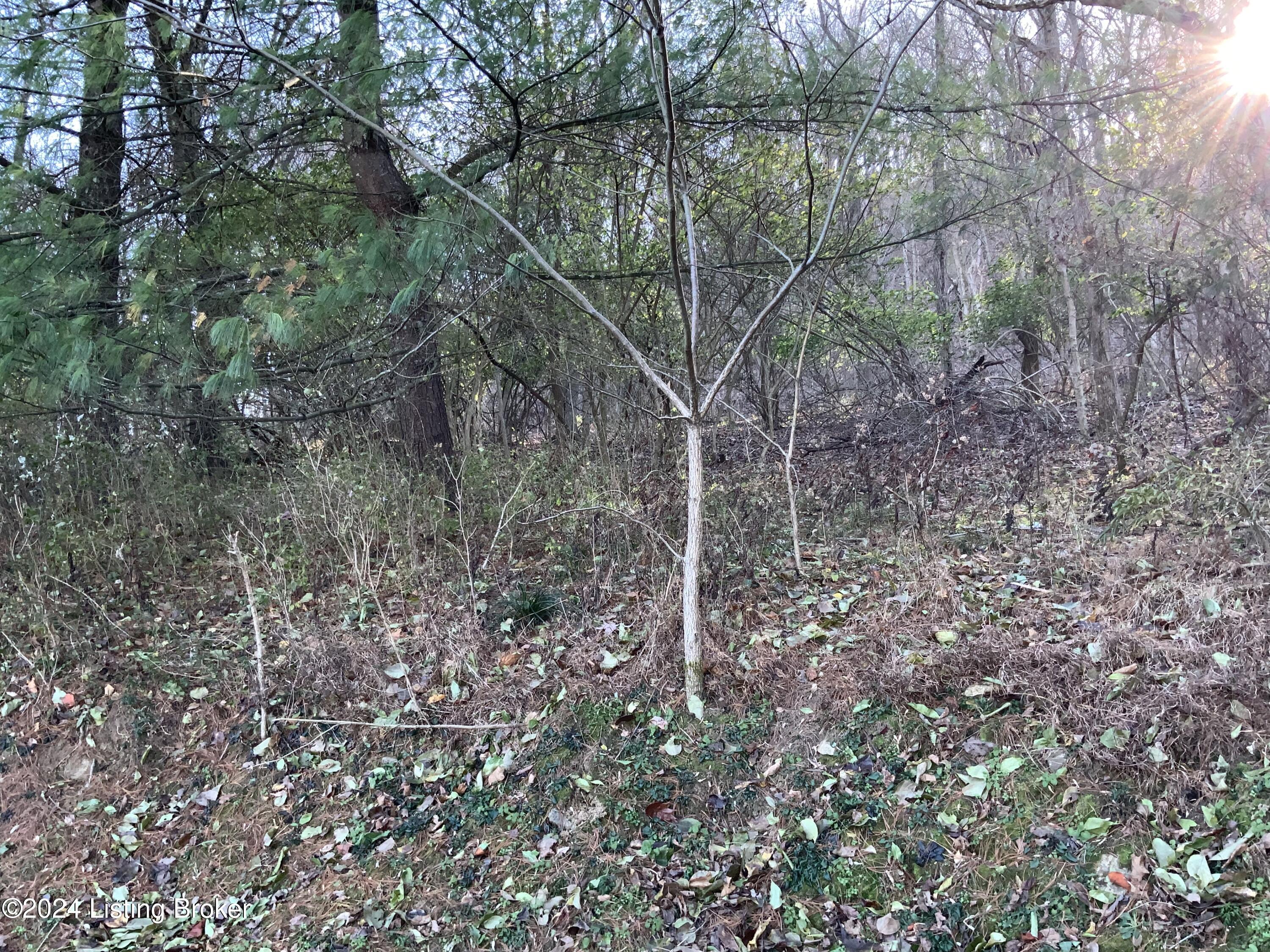 1406 Gillock Ave Property Photo 36