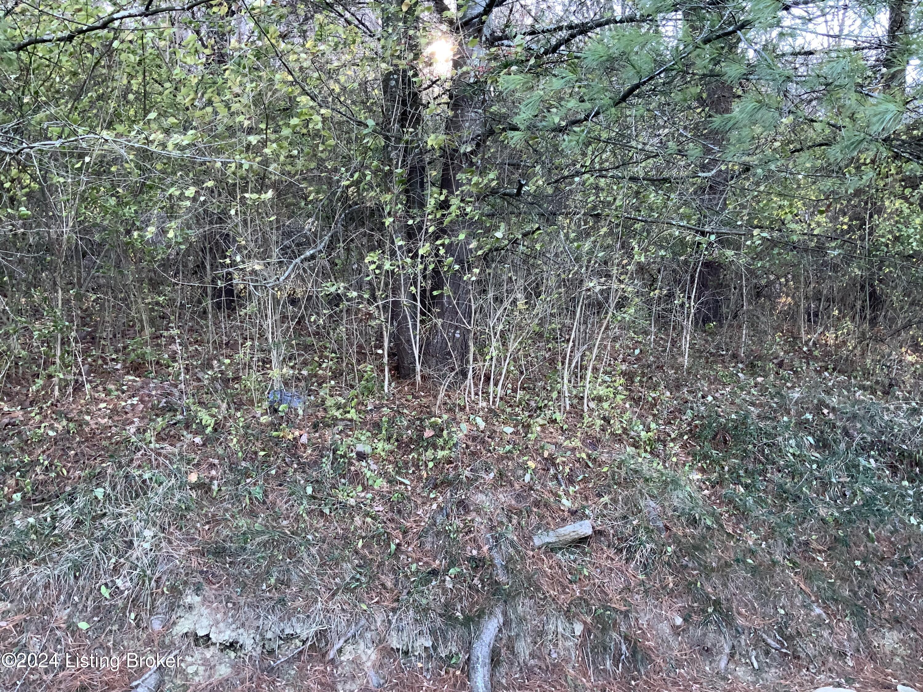 1406 Gillock Ave Property Photo 37