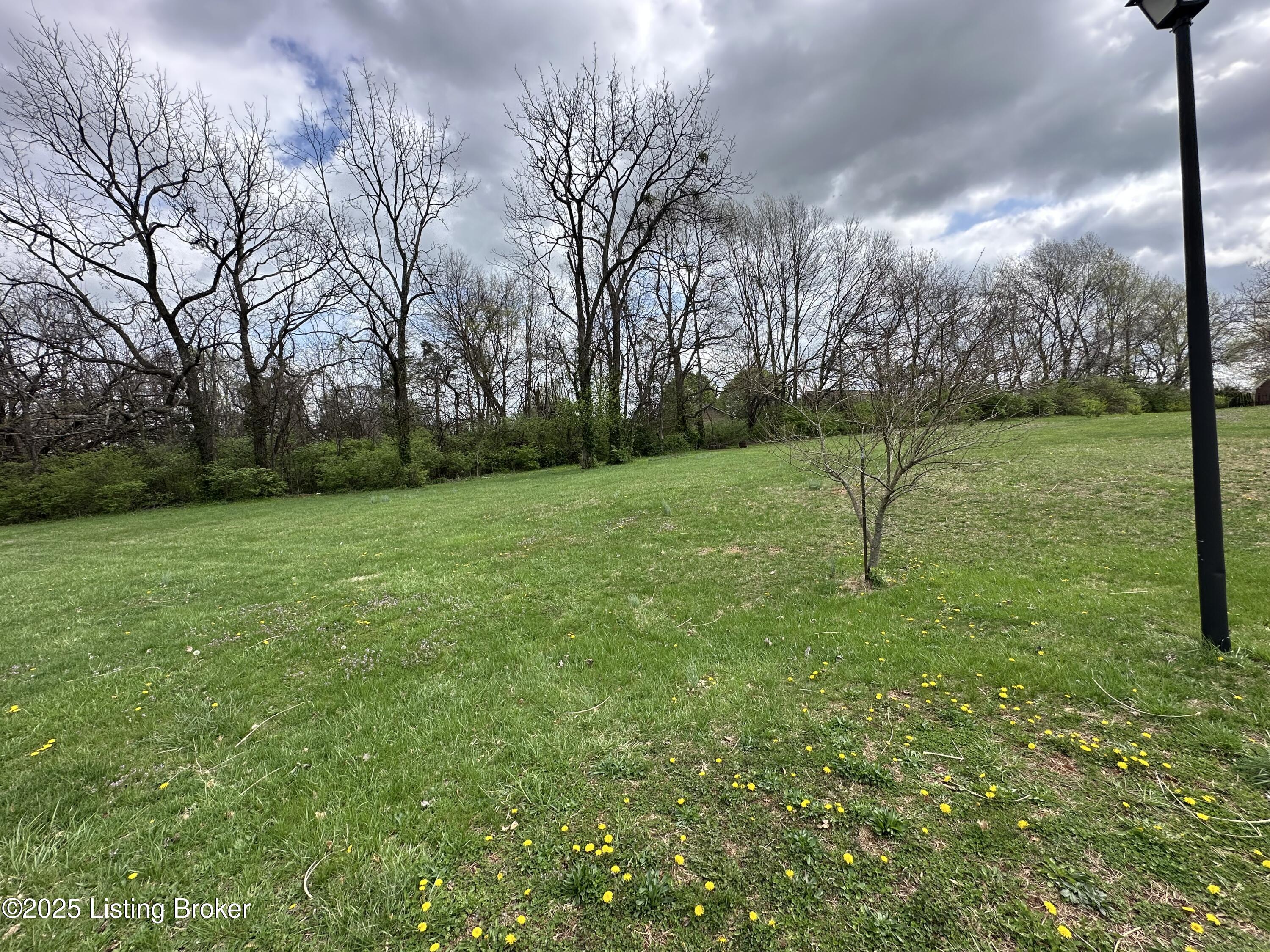 926 Woods Run Rd Property Photo 1