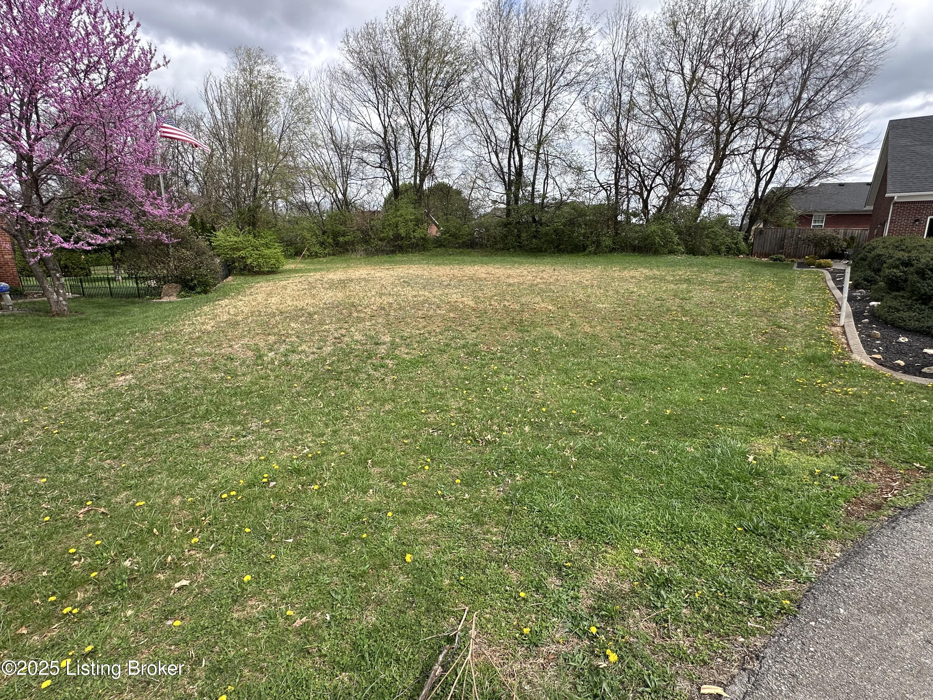 104 Mckenna Way Property Photo 3