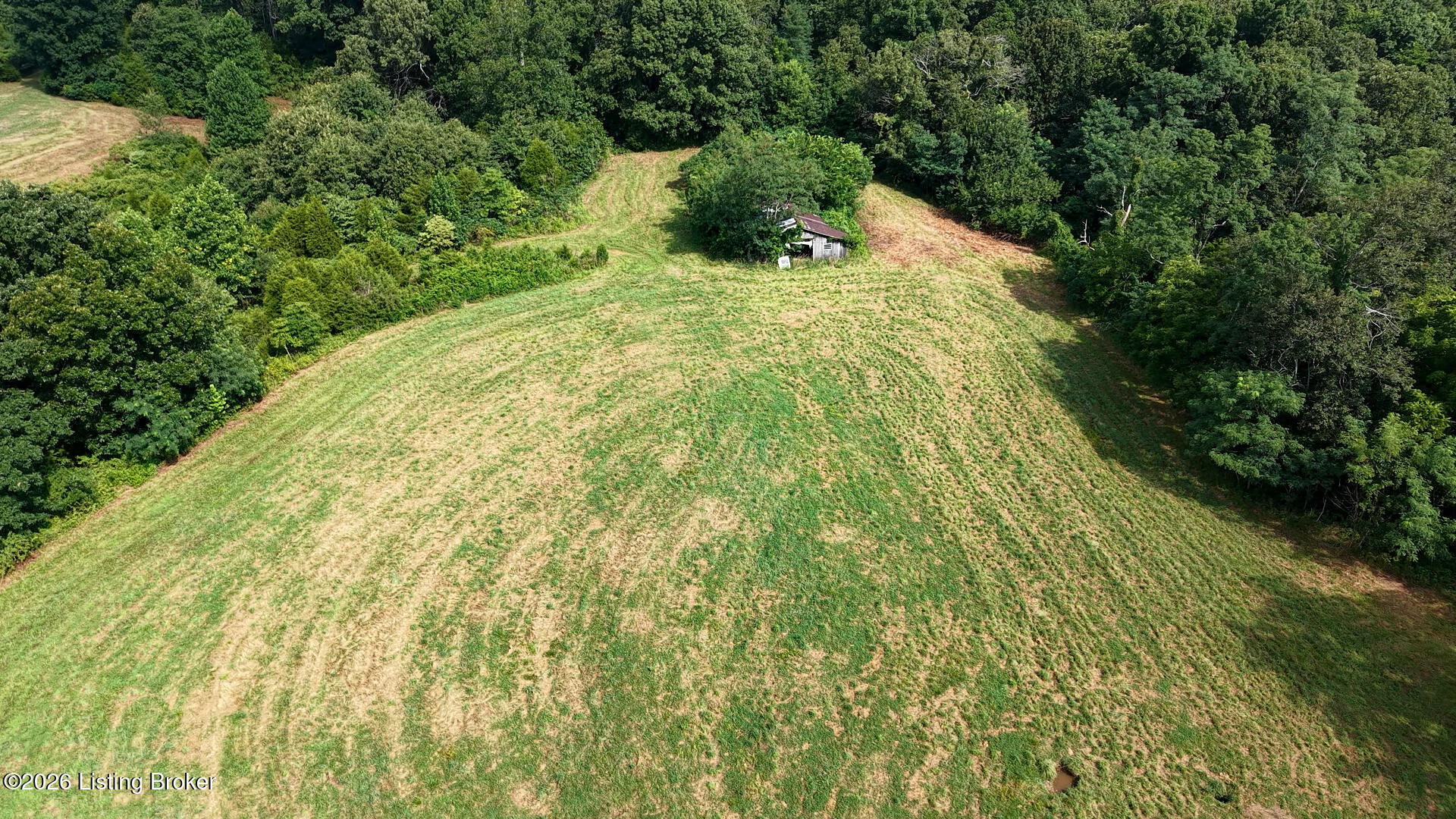 1096 Eastview Rd Property Photo 82
