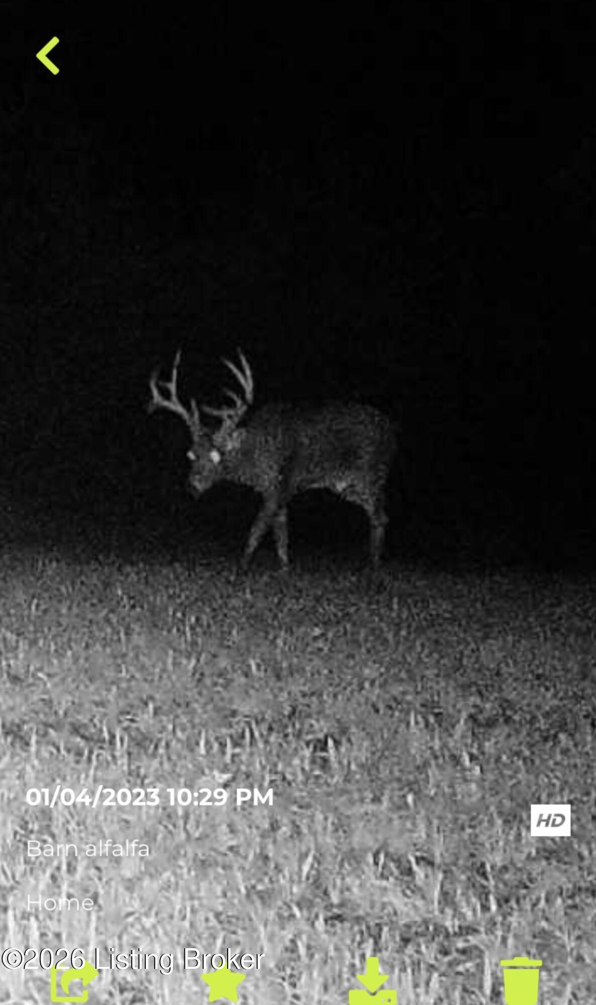 1096 Eastview Rd Property Photo 97