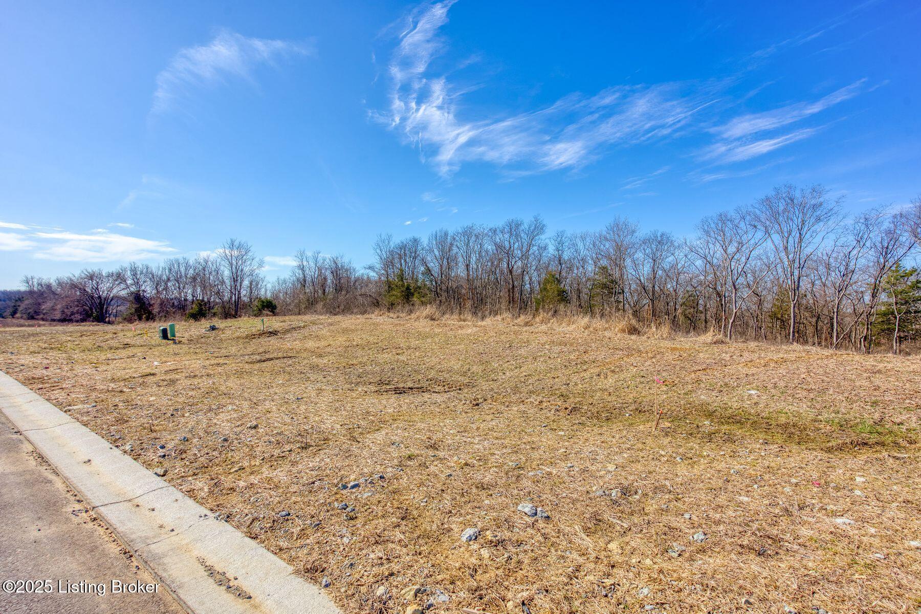 240 Shakes Creek Dr Property Photo 12