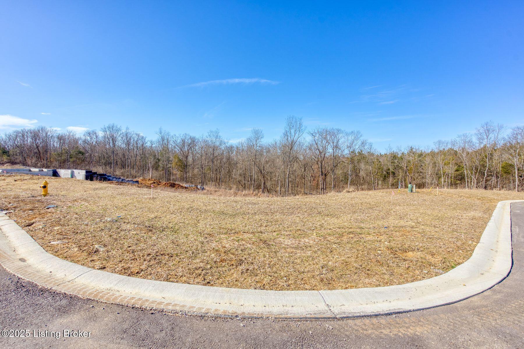243 Catalpa Leaf Way Property Photo 3