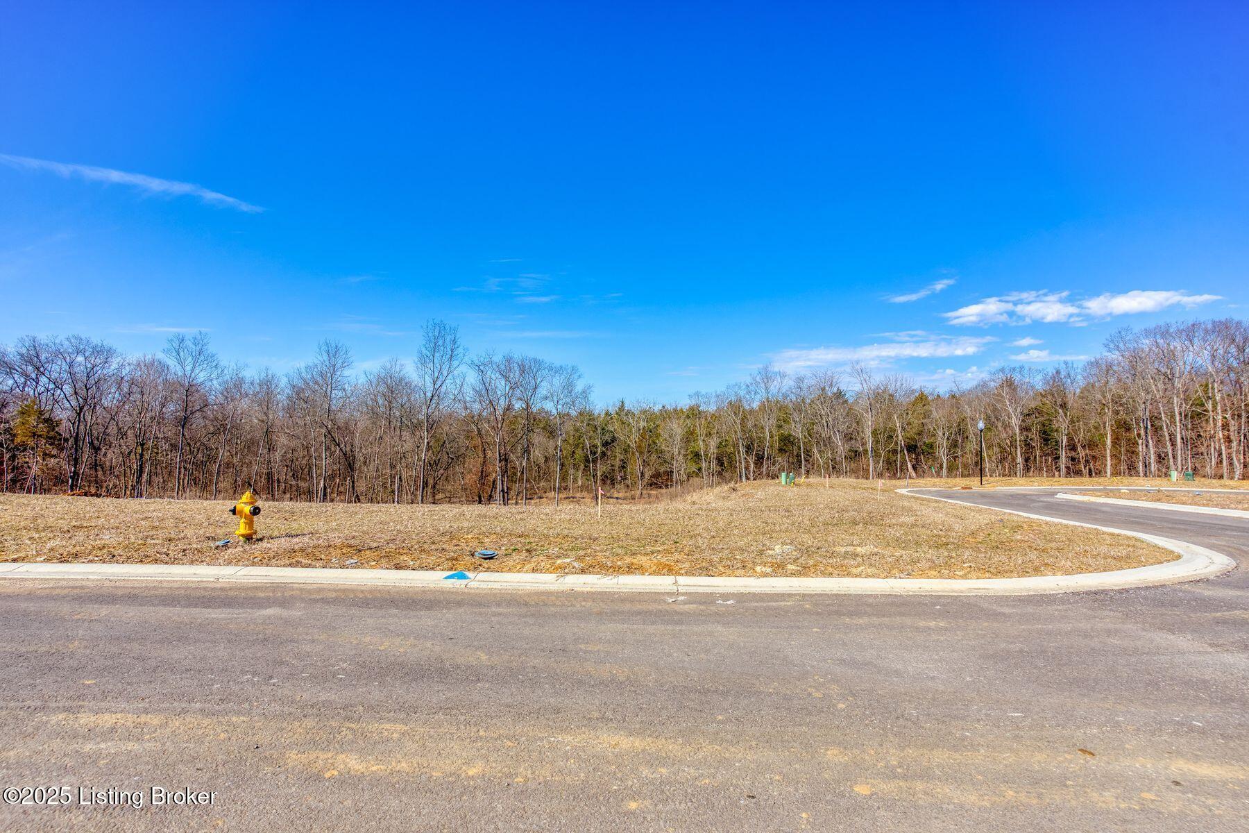 243 Catalpa Leaf Way Property Photo 4