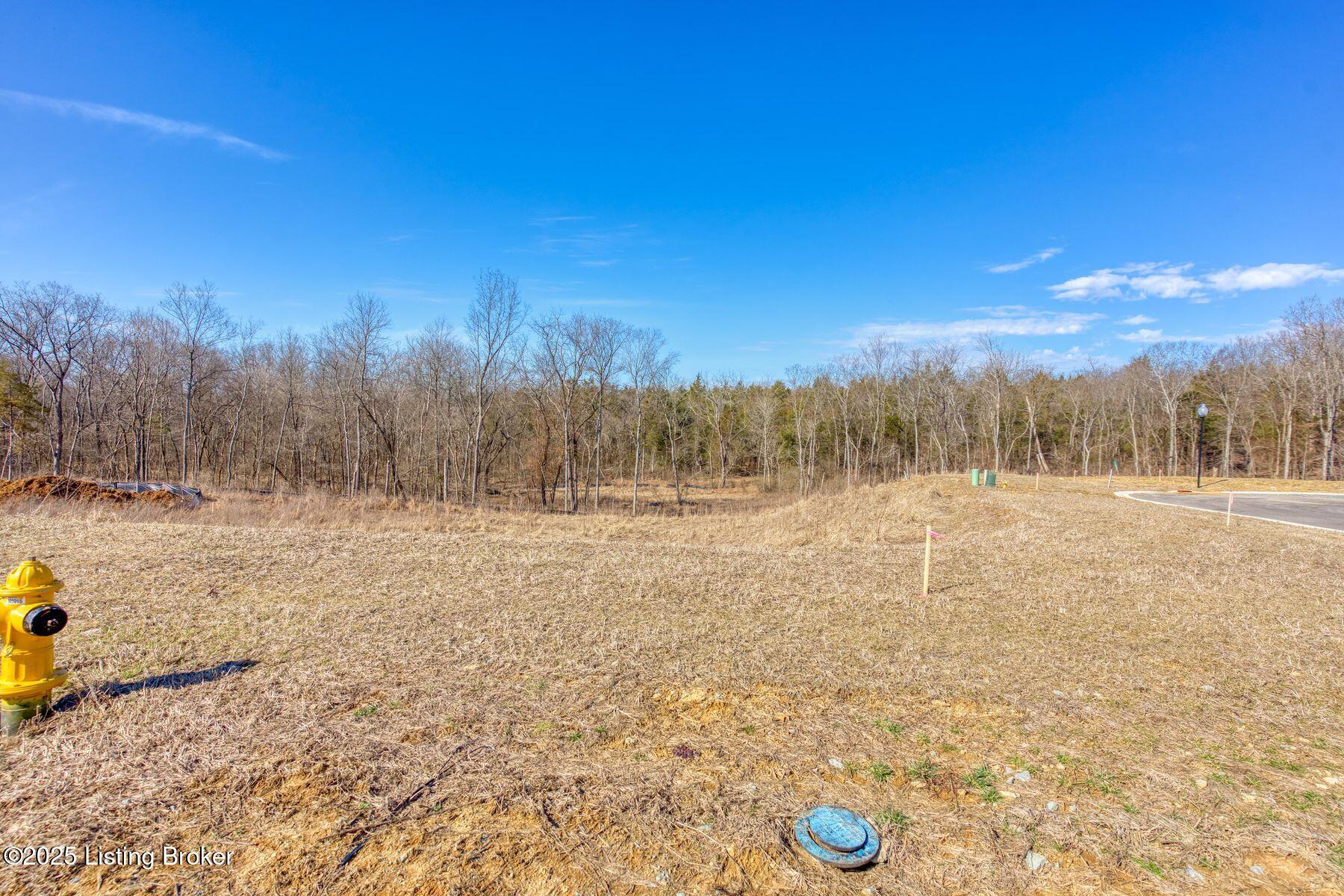 243 Catalpa Leaf Way Property Photo 5